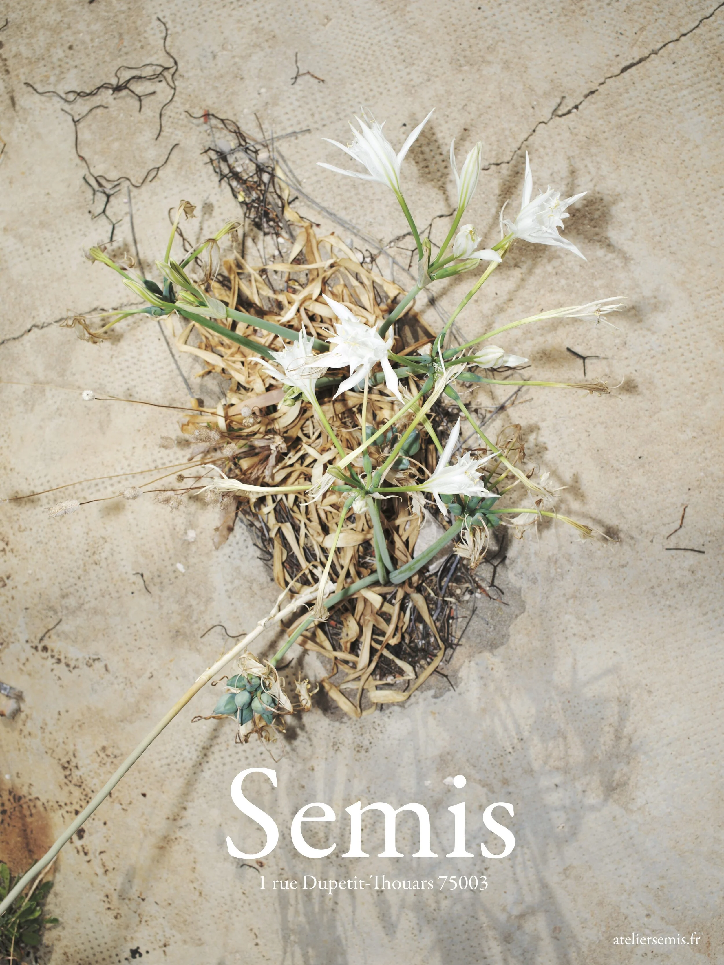 Campagne Collection Méditerranée, été 2016 ©Olivier Amsellem