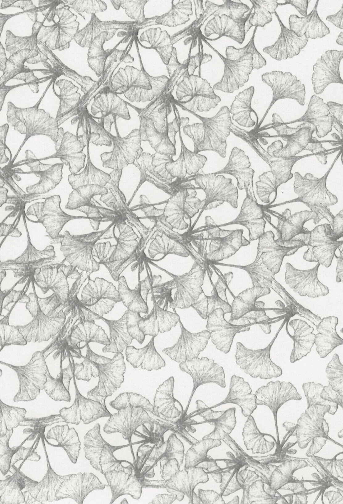 Imprimé collection “Wild”. Dessin ©Semi Kim.