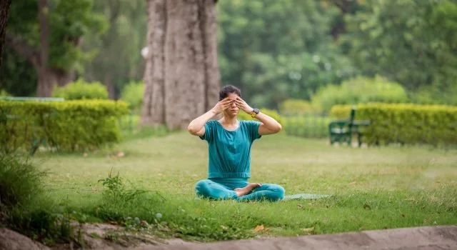 Breathing Awareness is he foundation of the Pranayama  Bridge to inner peace.