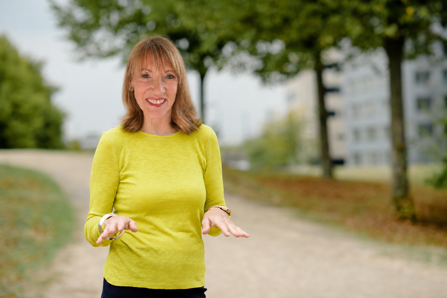 Beste verkleinerte Variante von 3a.png