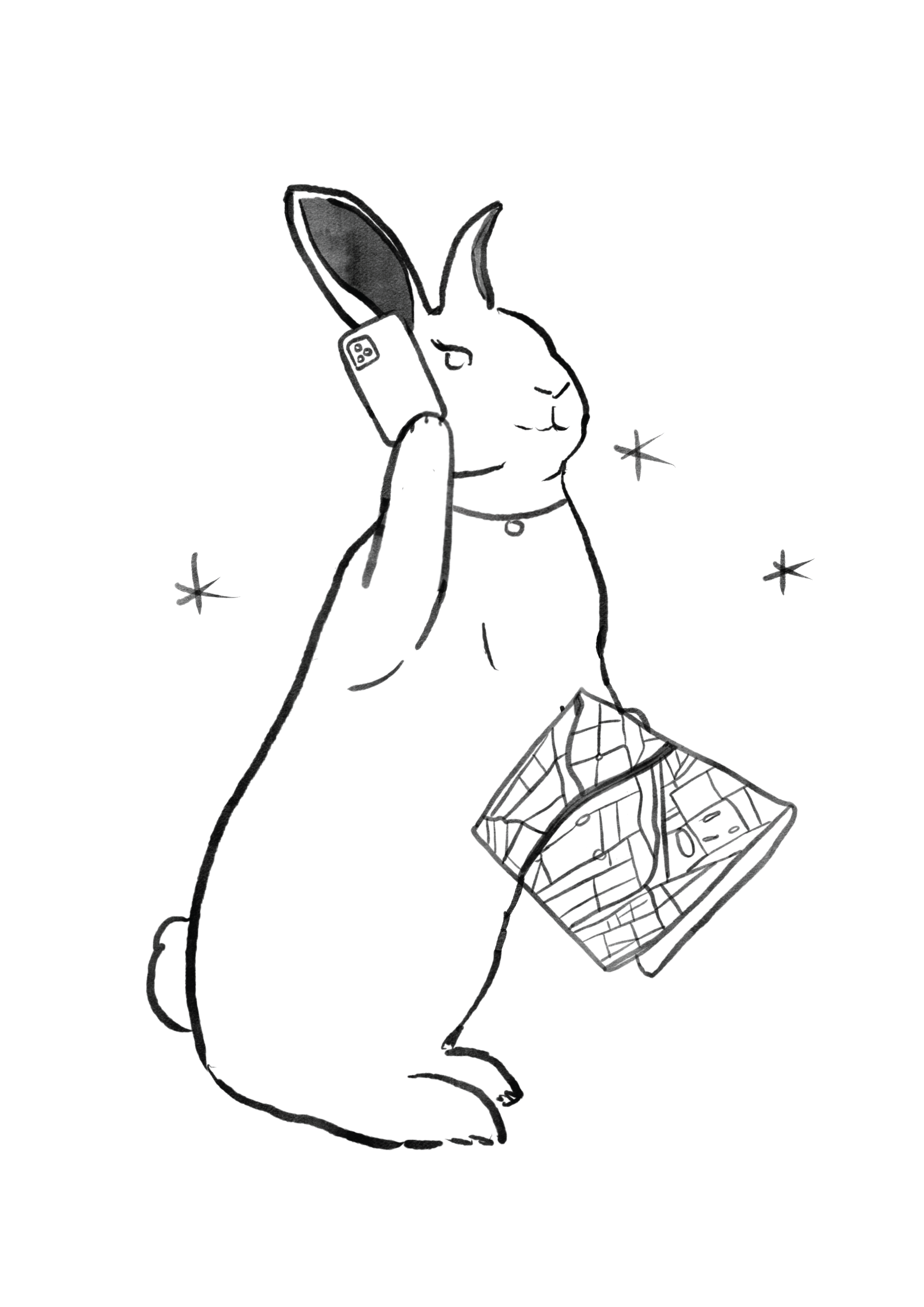 BUNNIES-04.png