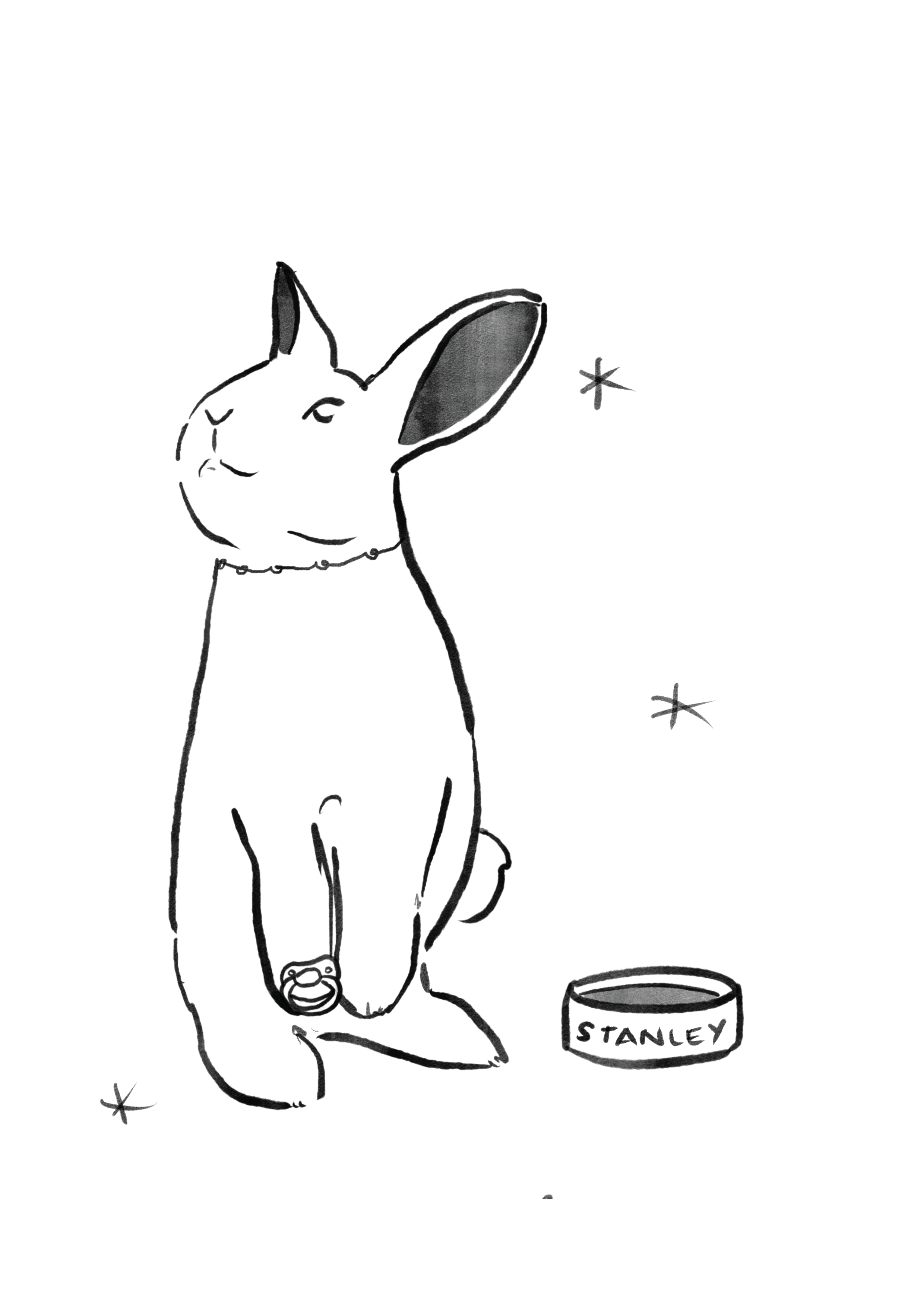 BUNNIES-03.png