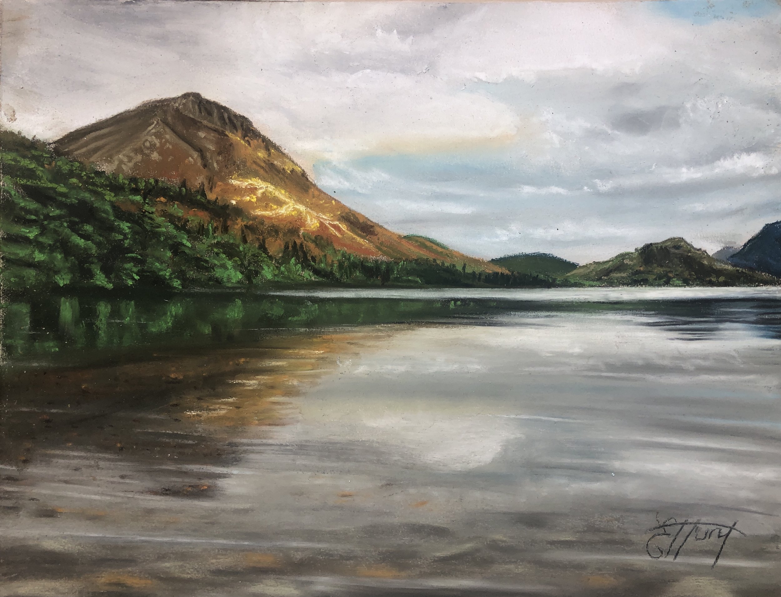 Beginner Pastel Class - £36