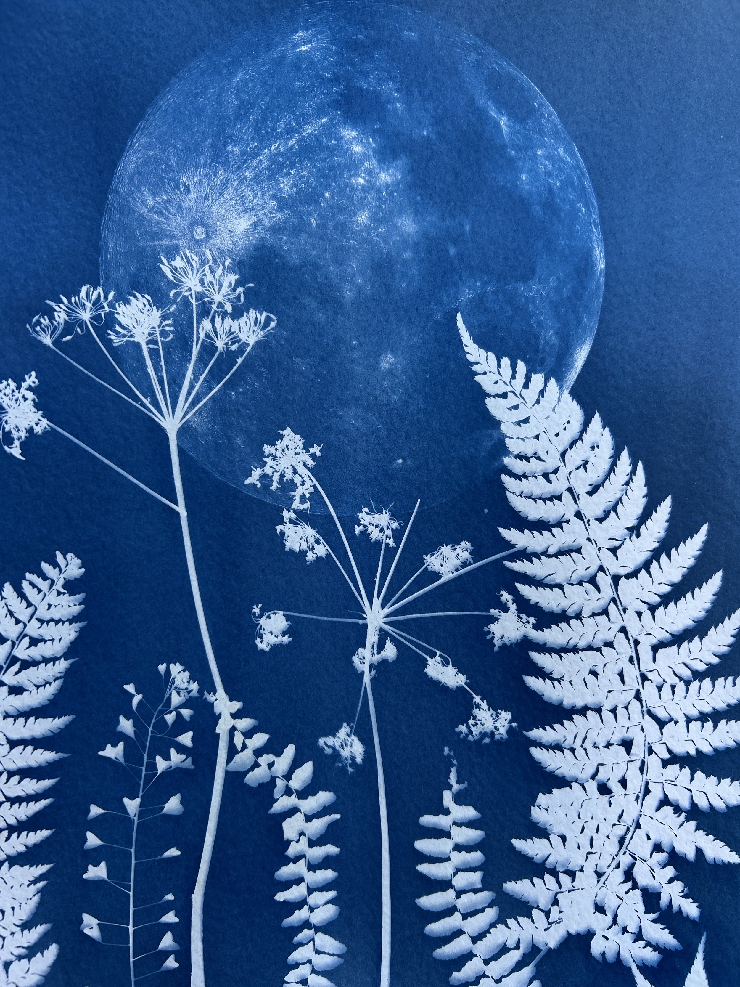 Cyanotype Workshop with Ellen Price - £55