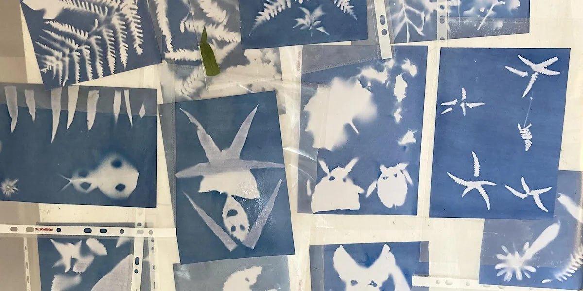 cyanotypes.jpeg