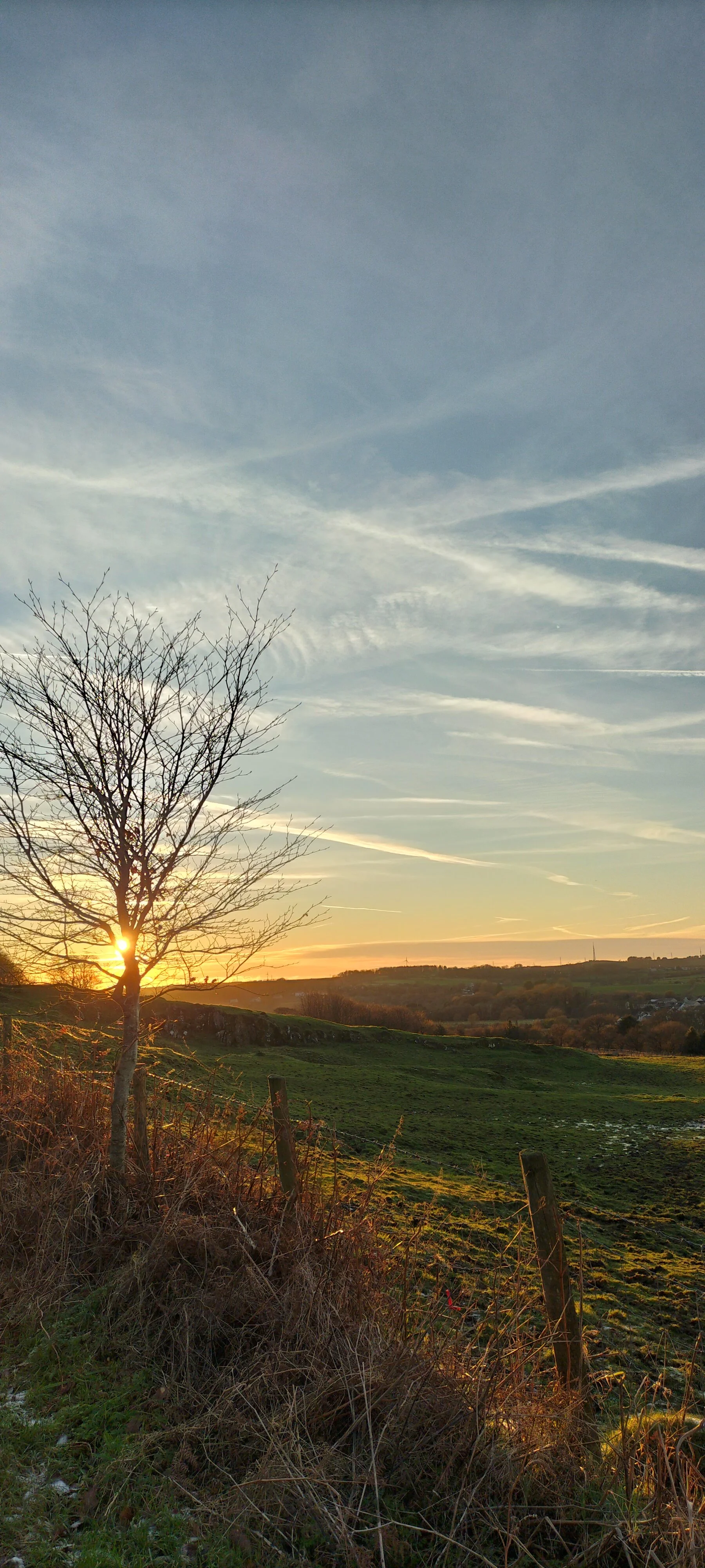 Creative Writing ‘TRAILS’ with Annie Wilson - £15