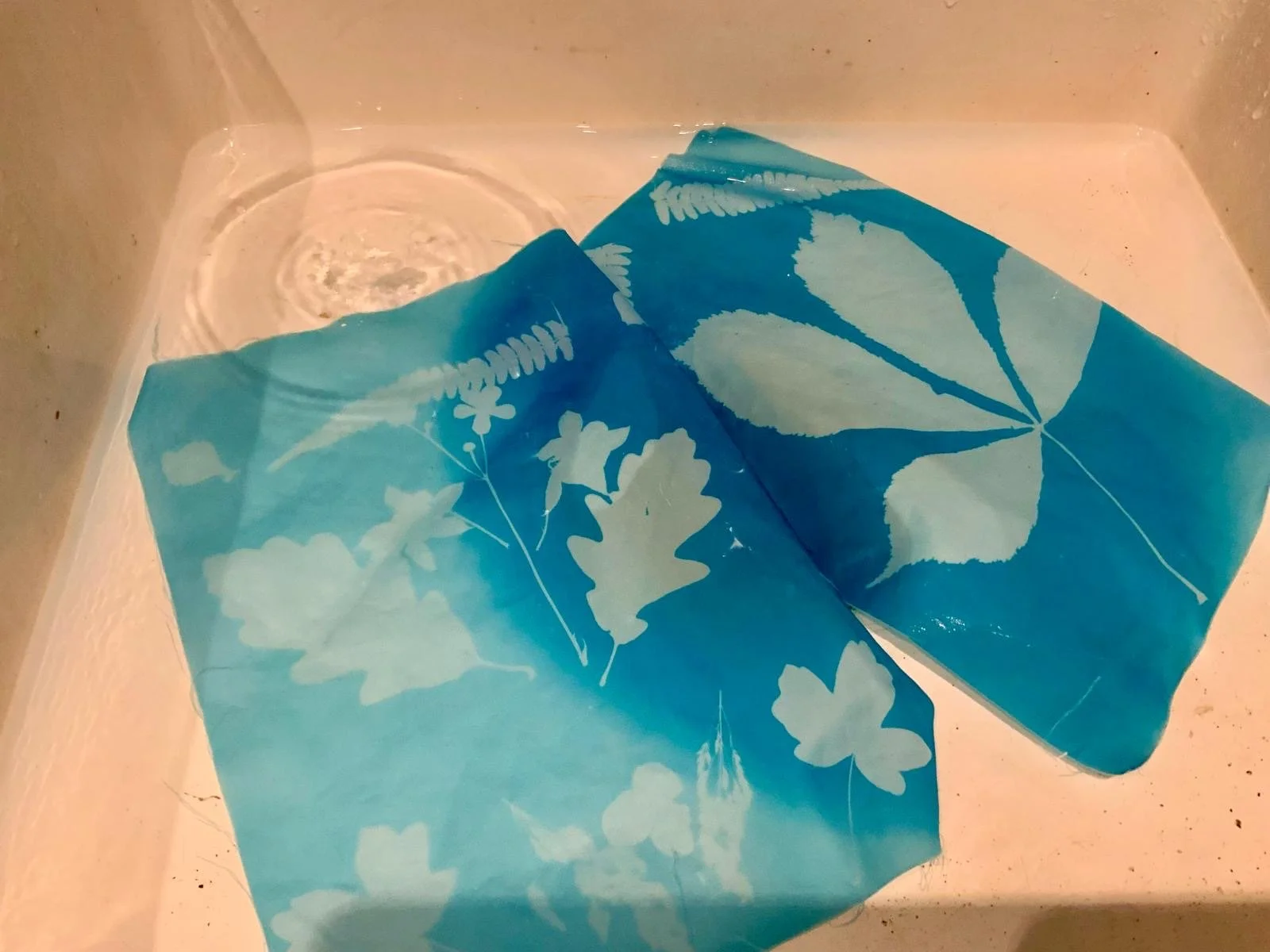 Experimental Cyanotype (including tea ceremony and plant taro) with Nanette Madan- £35