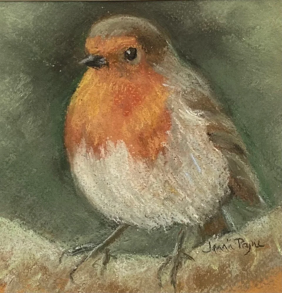 Robin 5.jpeg