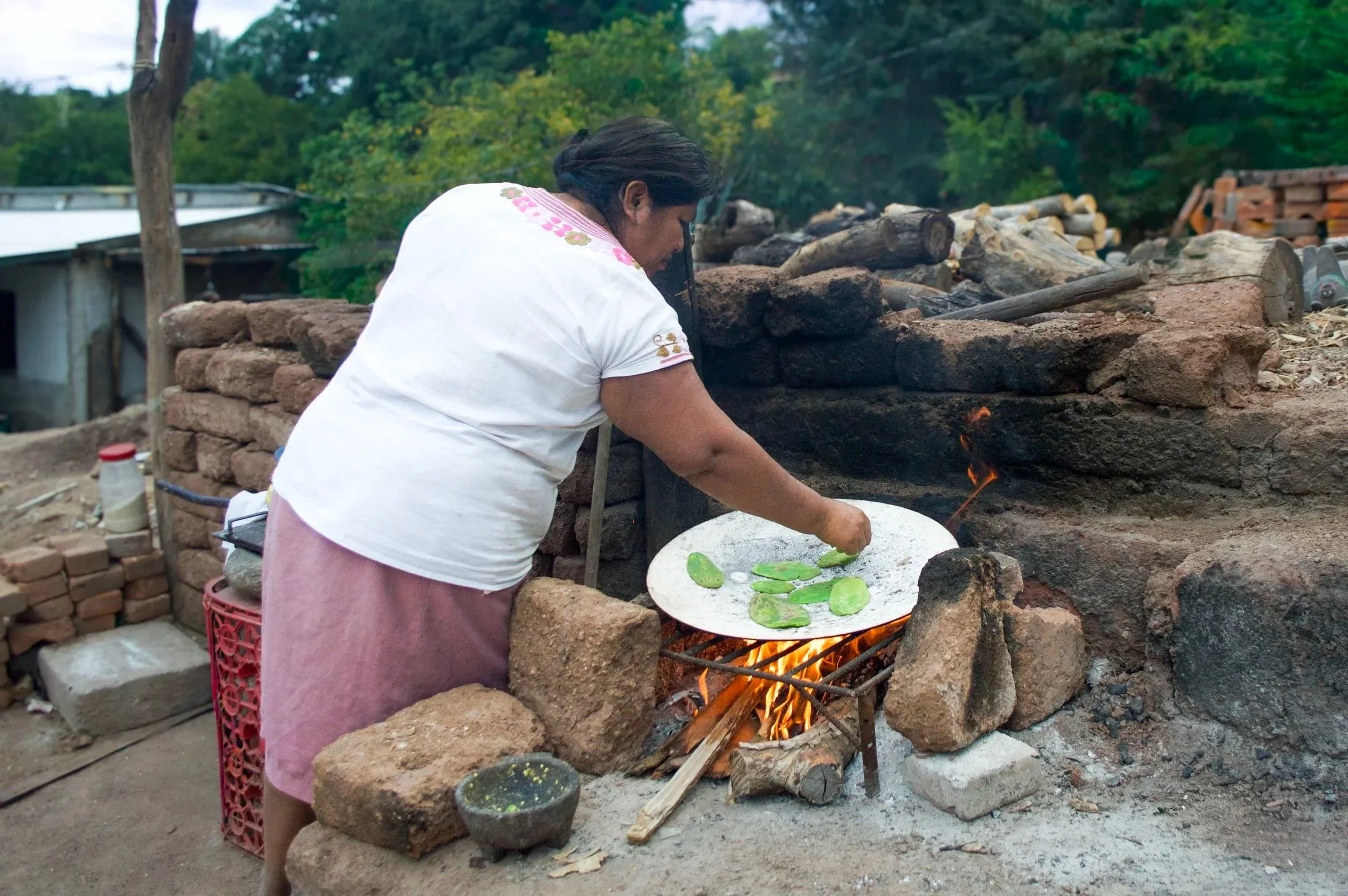 Aída's Fresh Cactus Watercress Salad