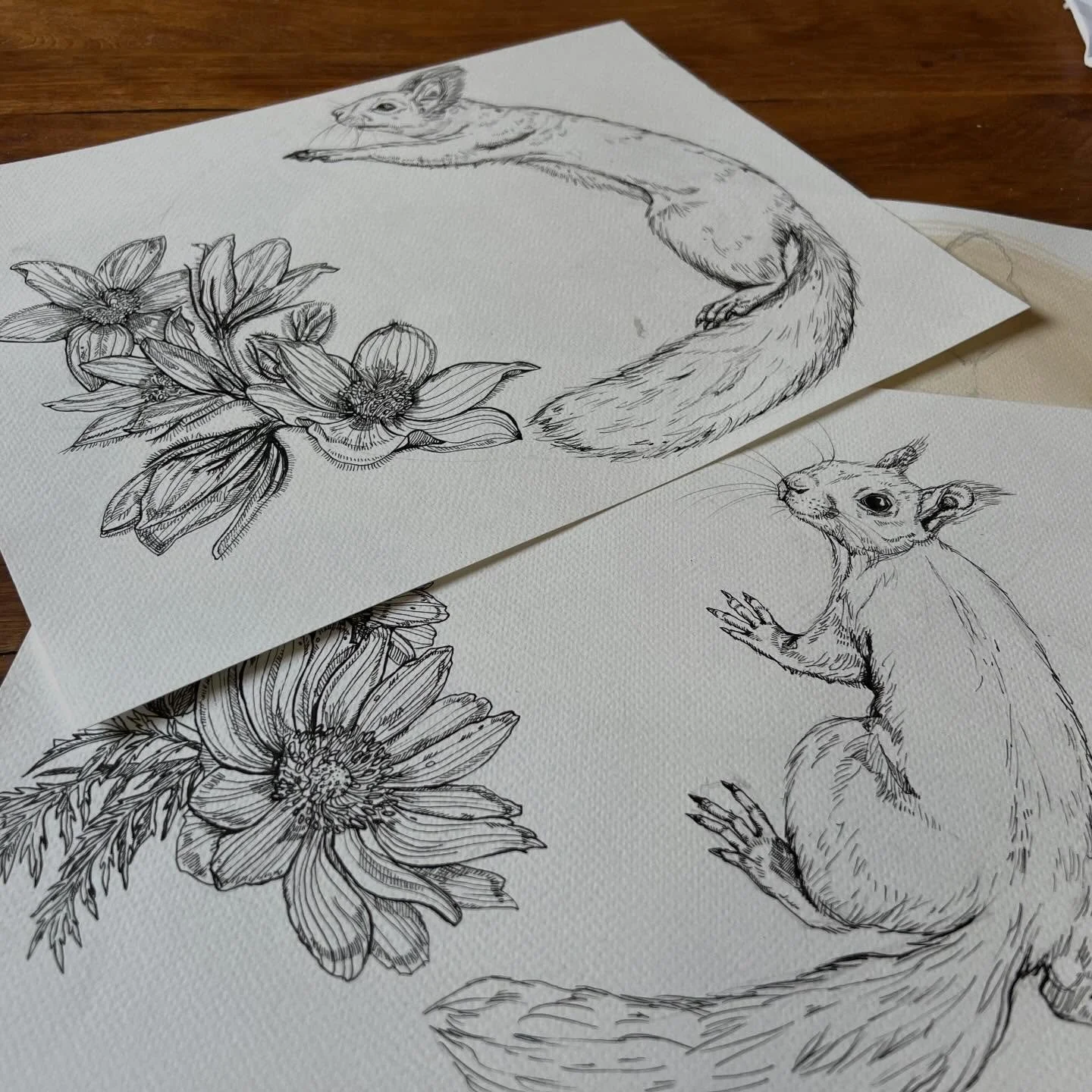 Back to drawing after a break &mdash; its the next-level of creative time management, but I have my favourite little helper by my side. 🥰 
#illustrationartists
#artistsoninstagram
#creativeprocess