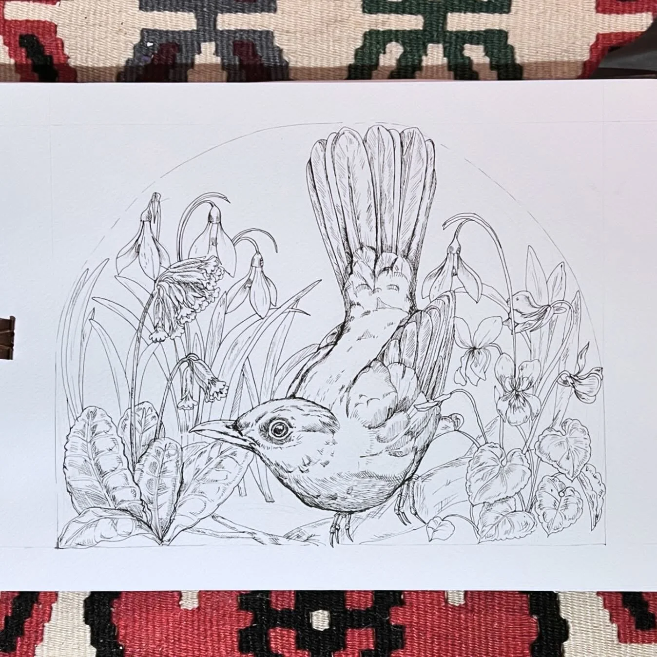 Also ich w&auml;r dann bereit f&uuml;r den Fr&uuml;hling! 
.
#drawinginprogress #fr&uuml;hlingsgef&uuml;hle #amsel #violaodorata #primulaveris #fr&uuml;hlingserwachen #springisintheair #springvibes🌸
