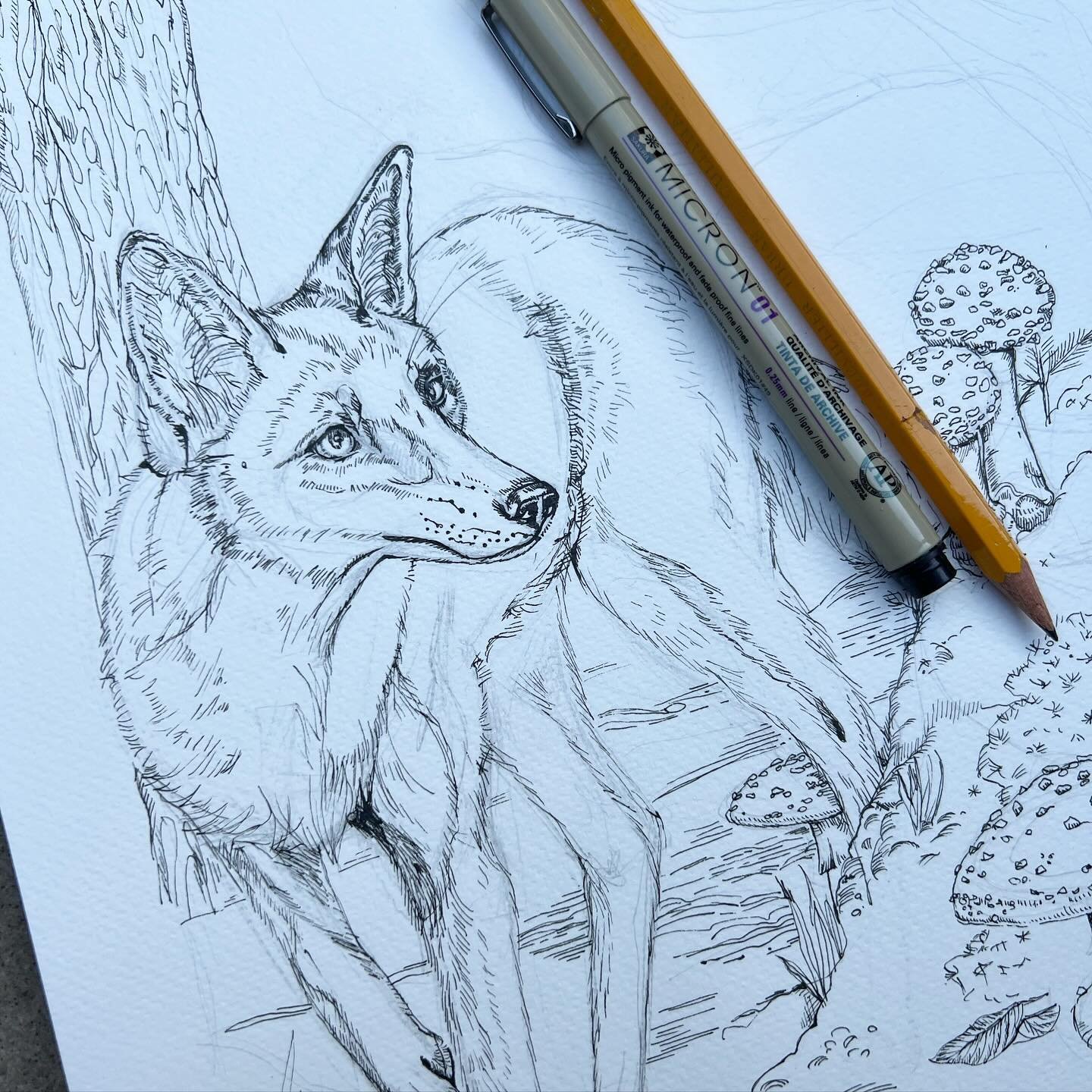 Fox and Amanita drawing in progress 🍄
.

#FuchsKunst
#FoxArt
#FoxIllustration
#WaldZauber
#ForestMagic
#ForestArt
#M&auml;rchenwald
#IntoTheWoods
#NatureIllustration
#WoodlandCreatures
#Fliegenpilz
#AmanitaMuscarina
#MagicMushrooms