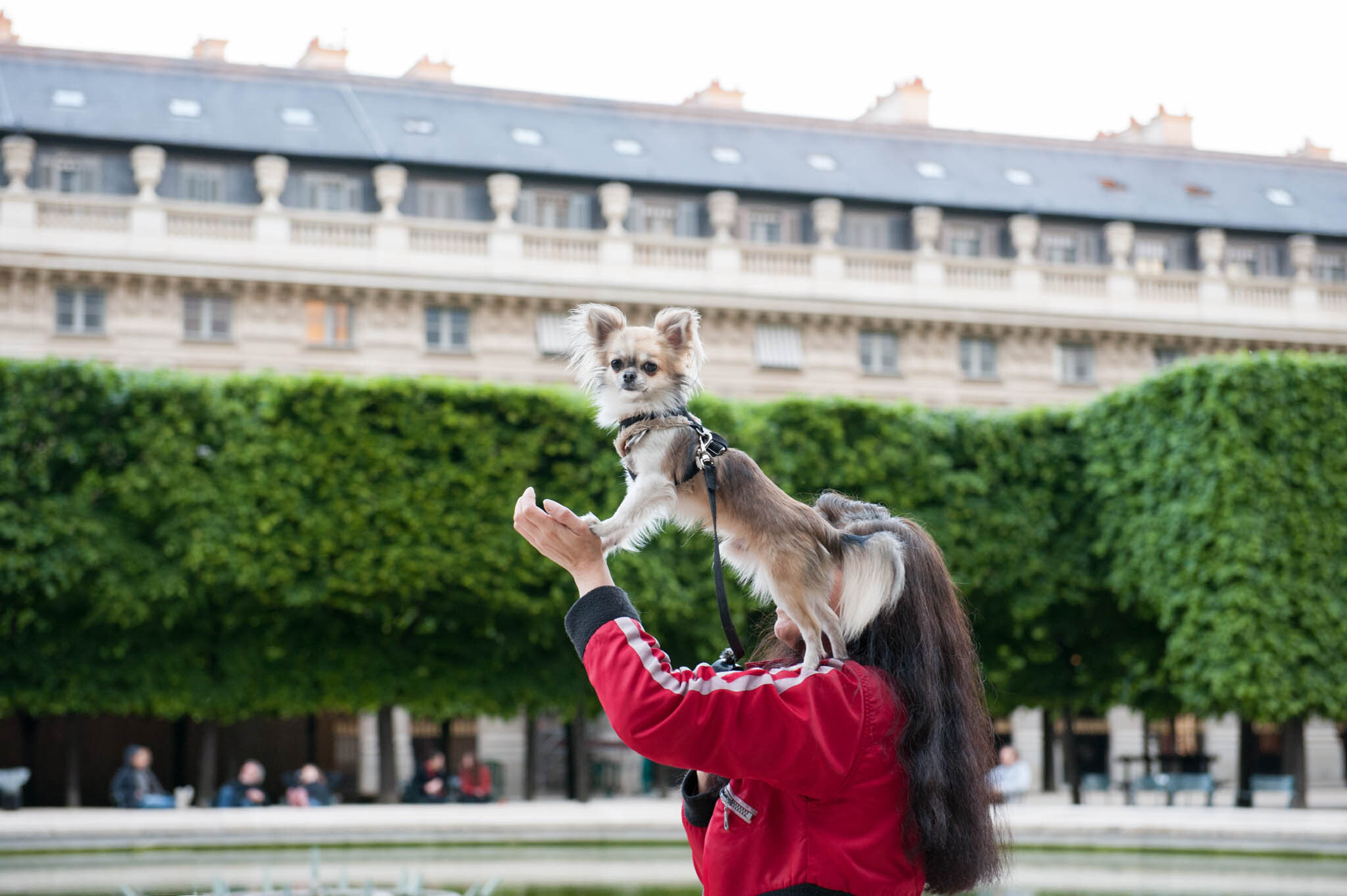    ‘Paris/NYC’ Book ‘Edition Lammerhuber’    Lady holding her dog, Palais Royal 