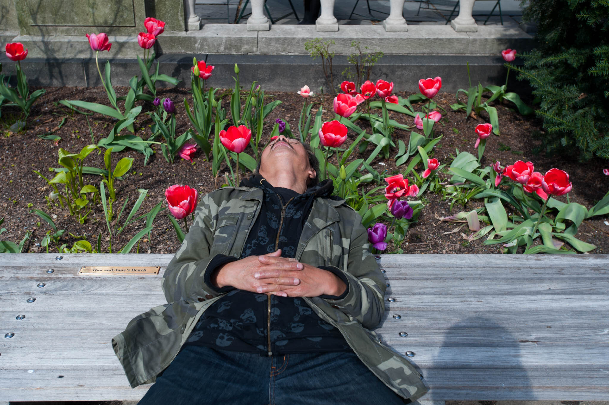    ‘Paris/NYC’ Book ‘Edition Lammerhuber’    Man taking a nap in tulip bed. Bryant Park, NYC 