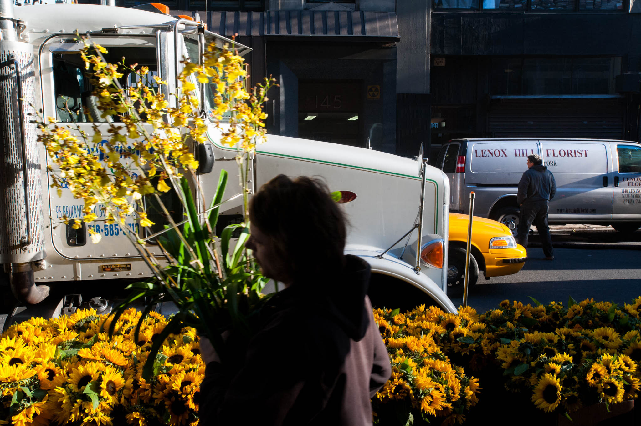    ‘Paris/NYC’ Book ‘Edition Lammerhuber’    Flower district. Manhattan. 