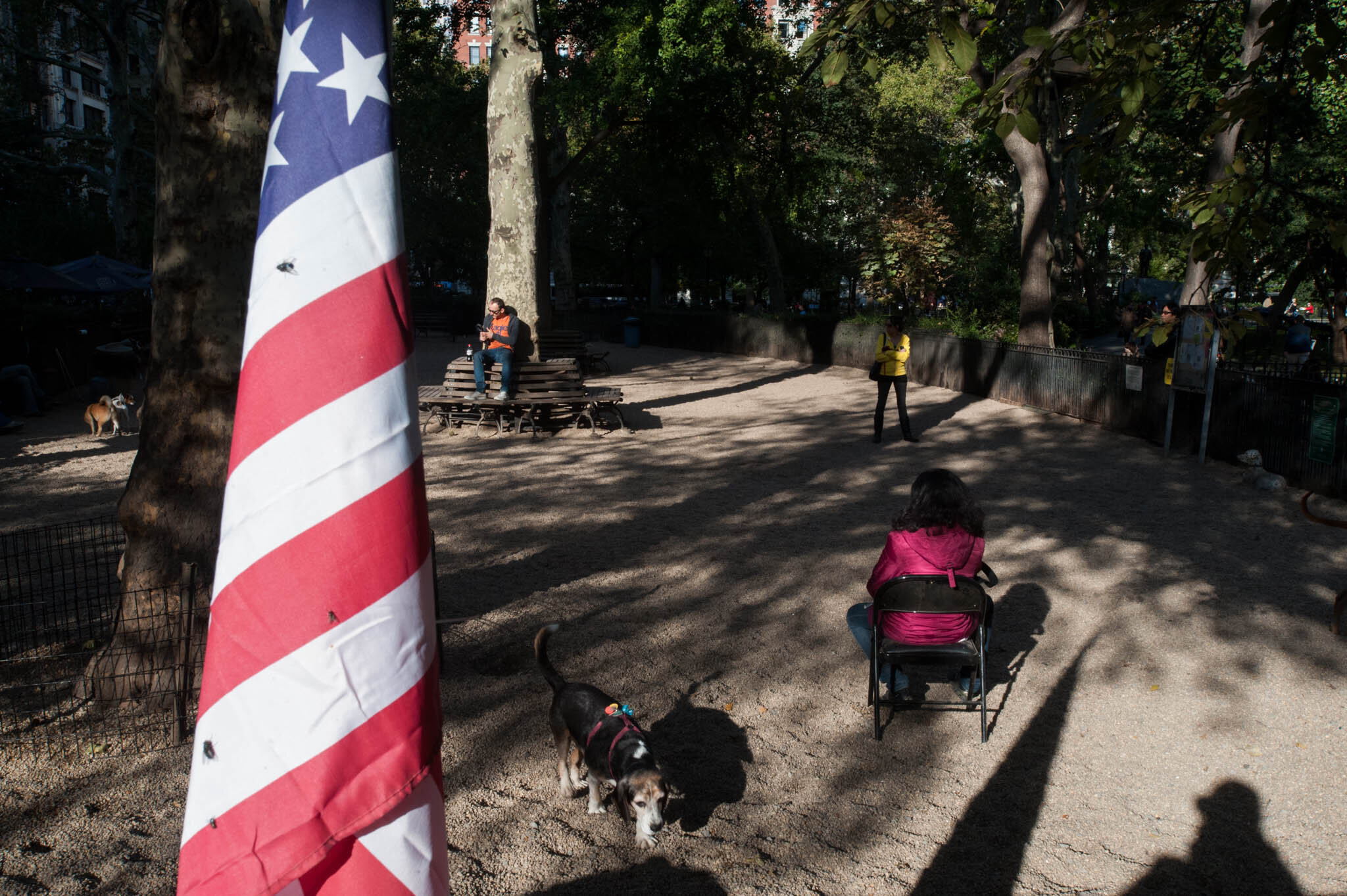    ‘Paris/NYC’ Book ‘Edition Lammerhuber’    Dog walking park. Mid-town Manhattan. 