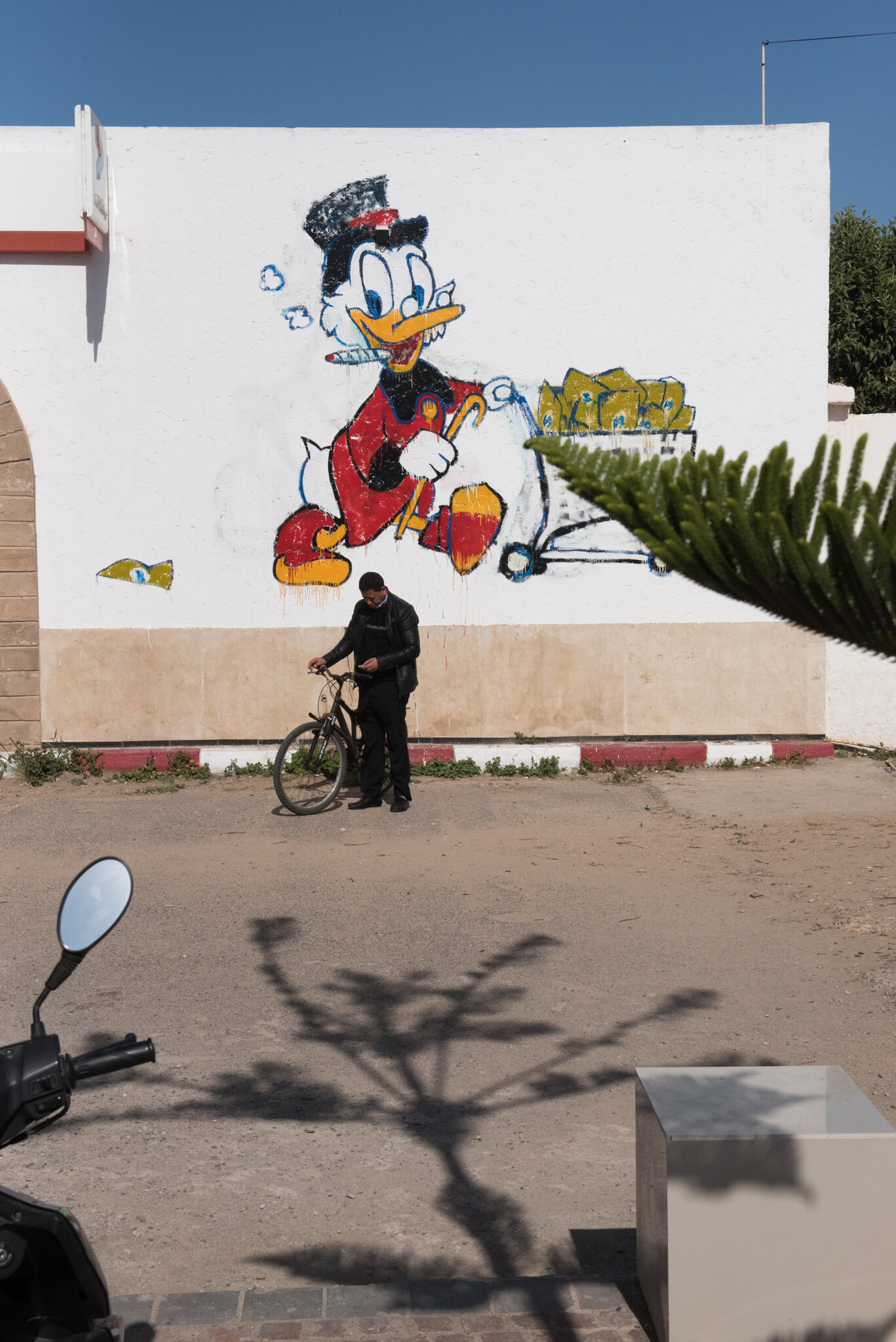    Morocco - Essaouira      Donald duck going to market  