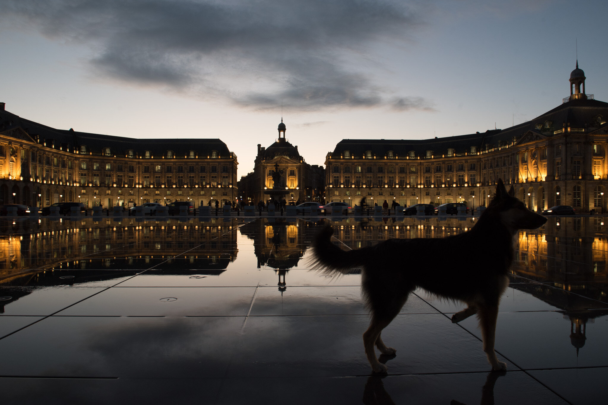    'Bordeaux' National Geographic U.K.    Place de la Bourse. Dog in front of reflecting pool. 