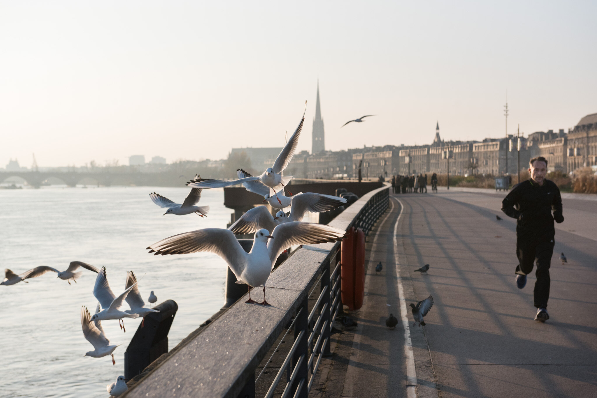    'Bordeaux' National Geographic U.K.    Jogging next to the Garonne River 