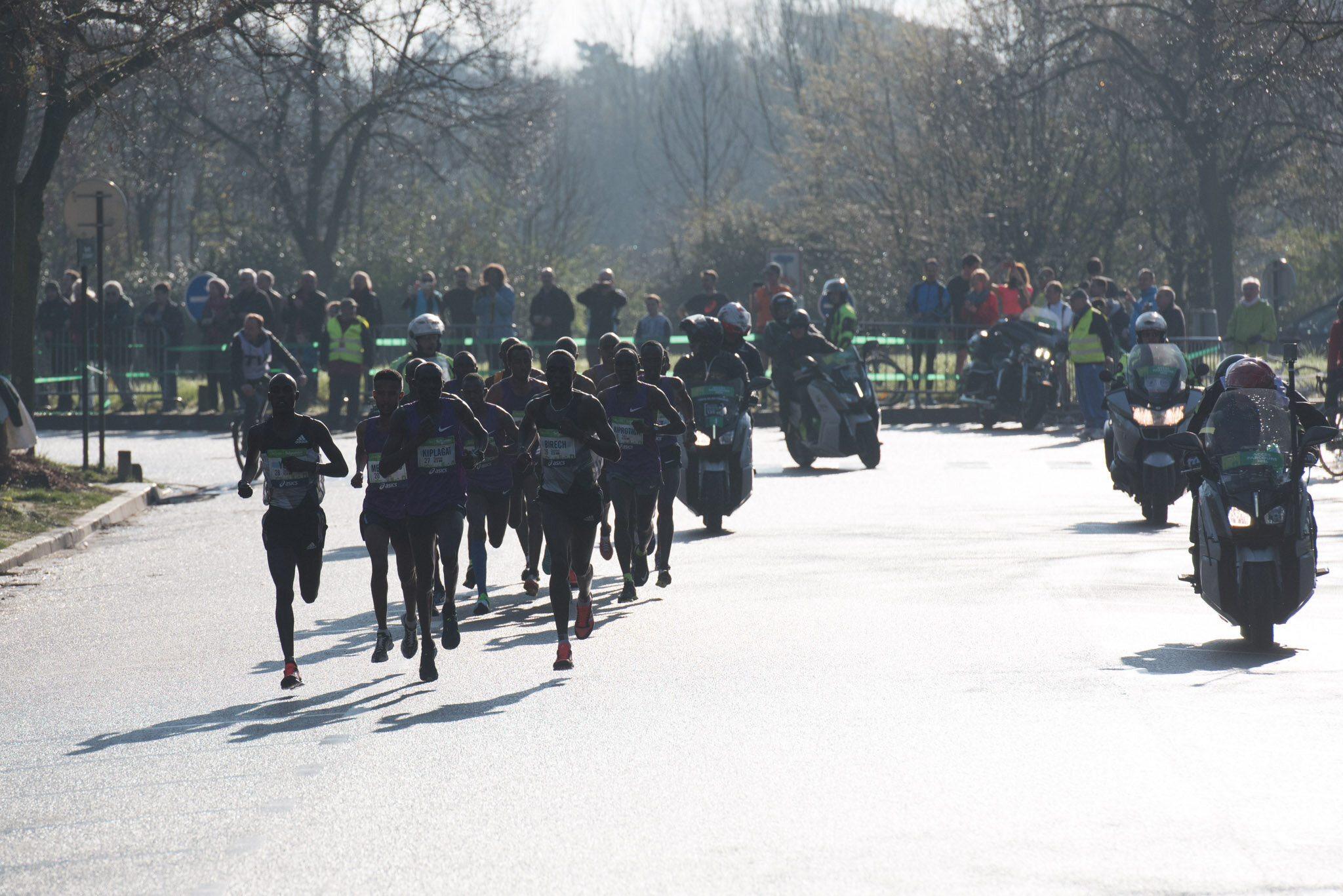   Paris Marathon for Schneider Electric    Leaders running through Bois de Vincennes 