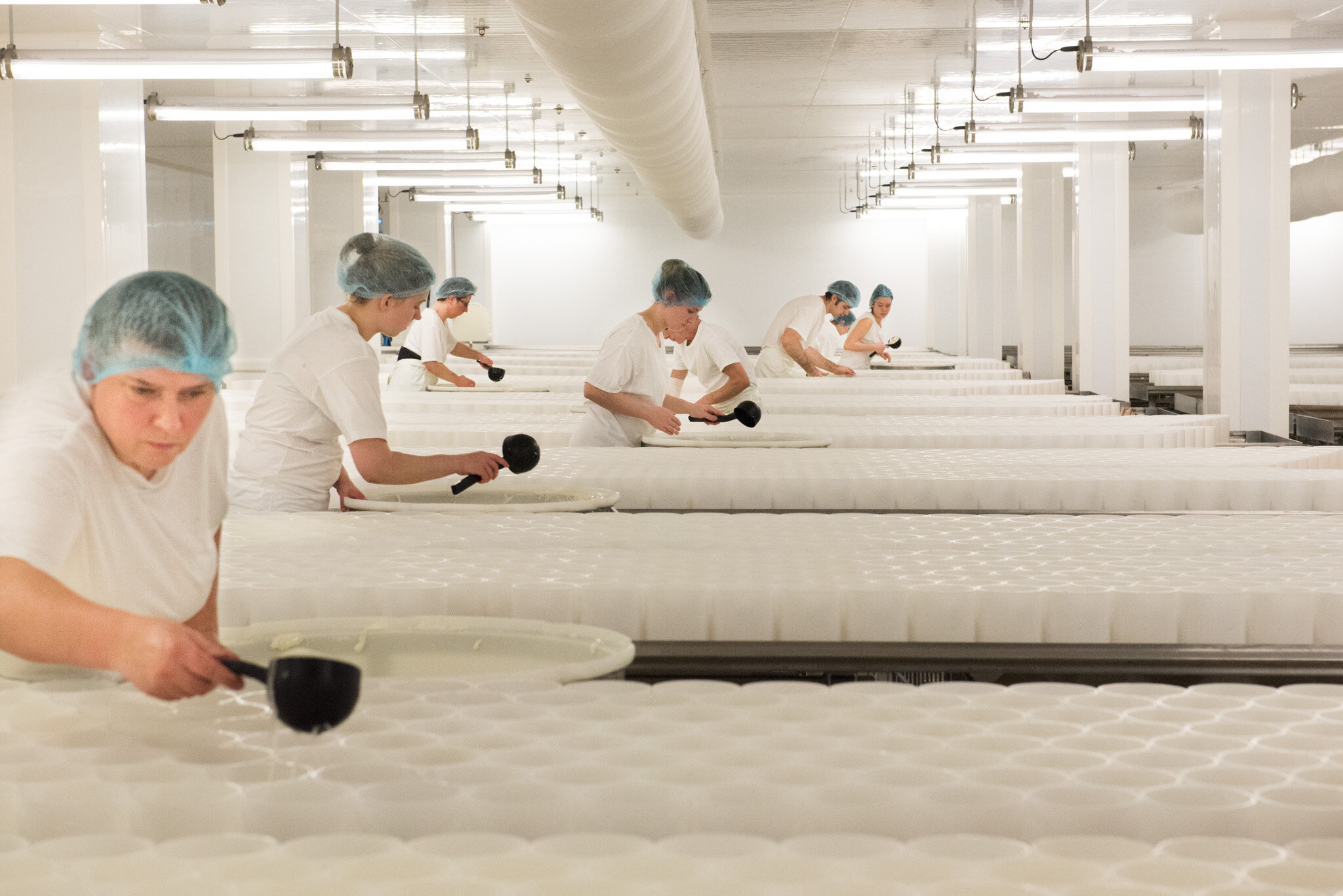    Graindorge cheese for 'Culture' U.S.    Filling cheese molds. Graindorge cheese 