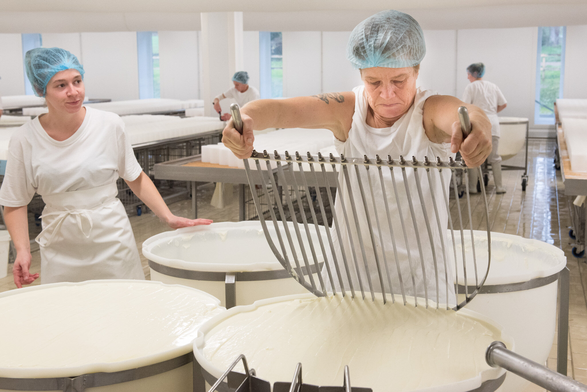    Graindorge cheese for 'Culture' U.S.    Inside cheese making facility 