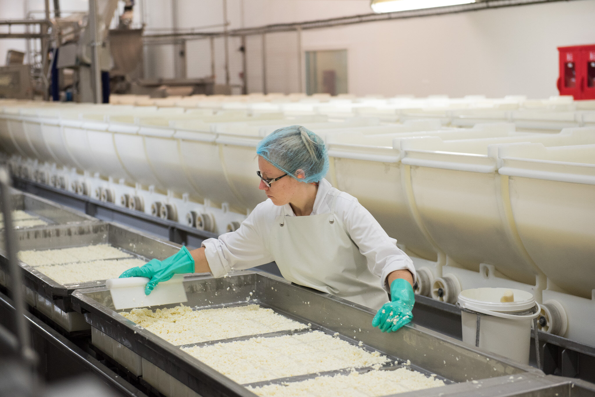    Graindorge cheese for 'Culture' U.S.    Lady working on production line 