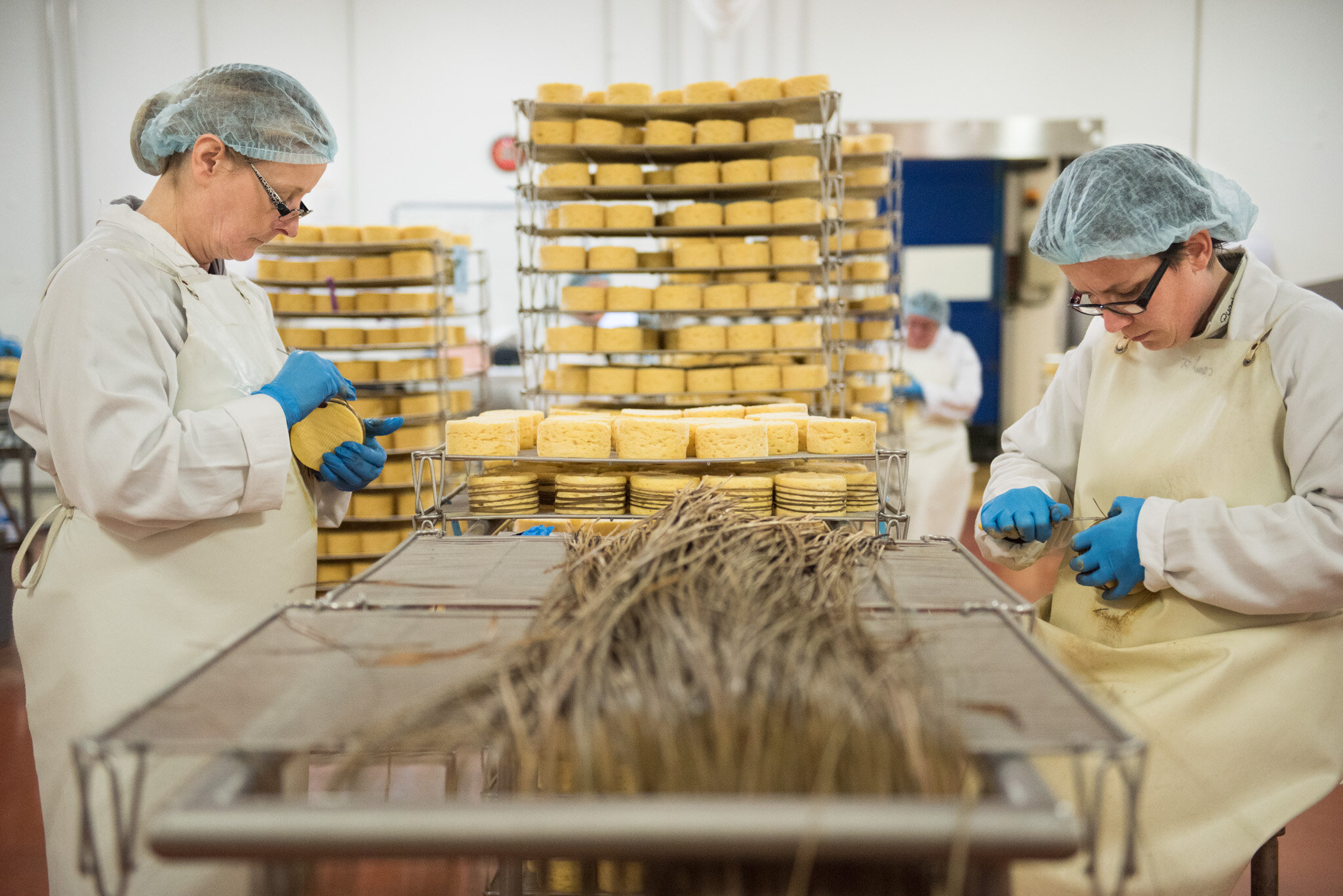    Graindorge cheese for 'Culture' U.S.    Tying grass around cheese 