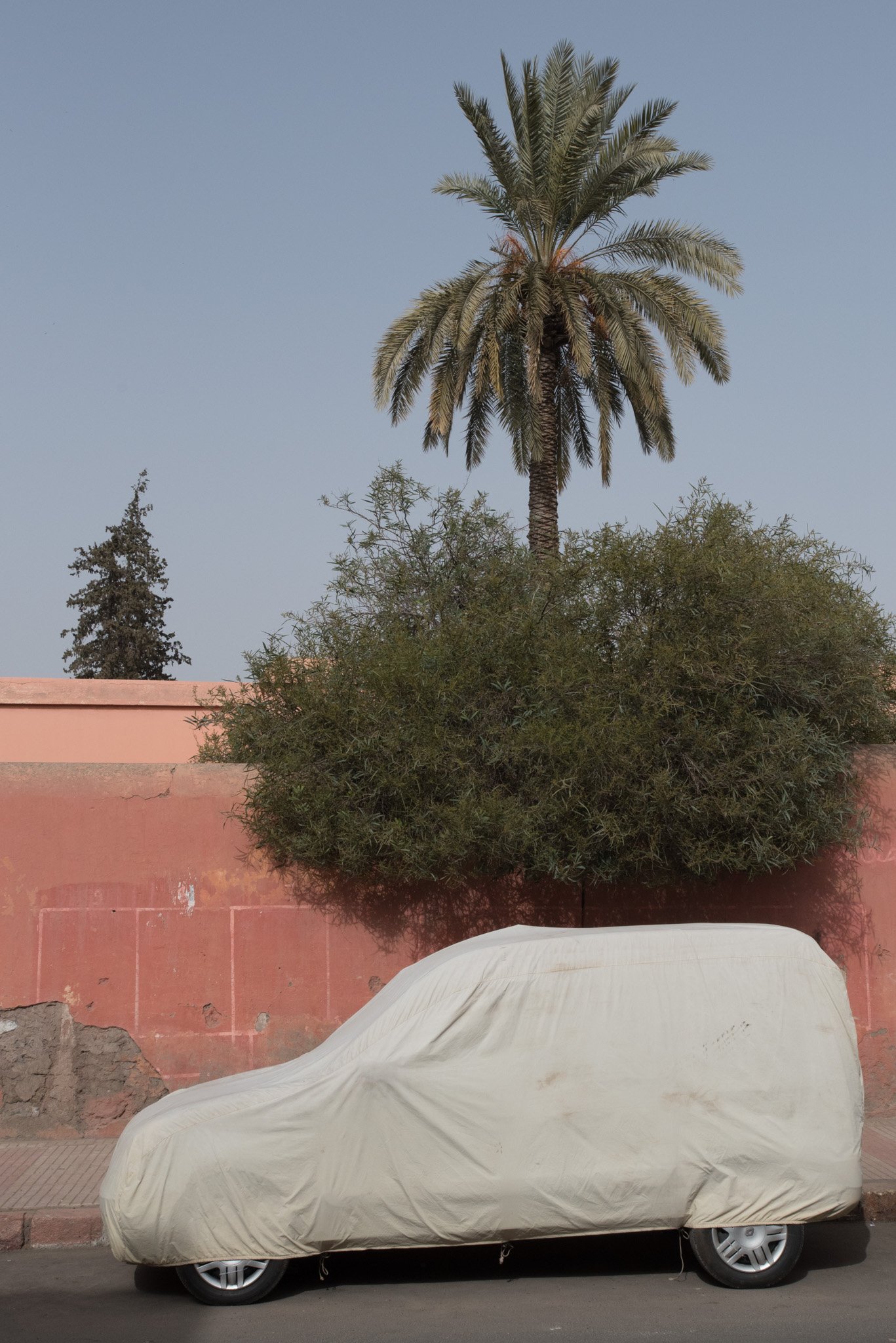    Morocco - Marrakech    Veiled car 