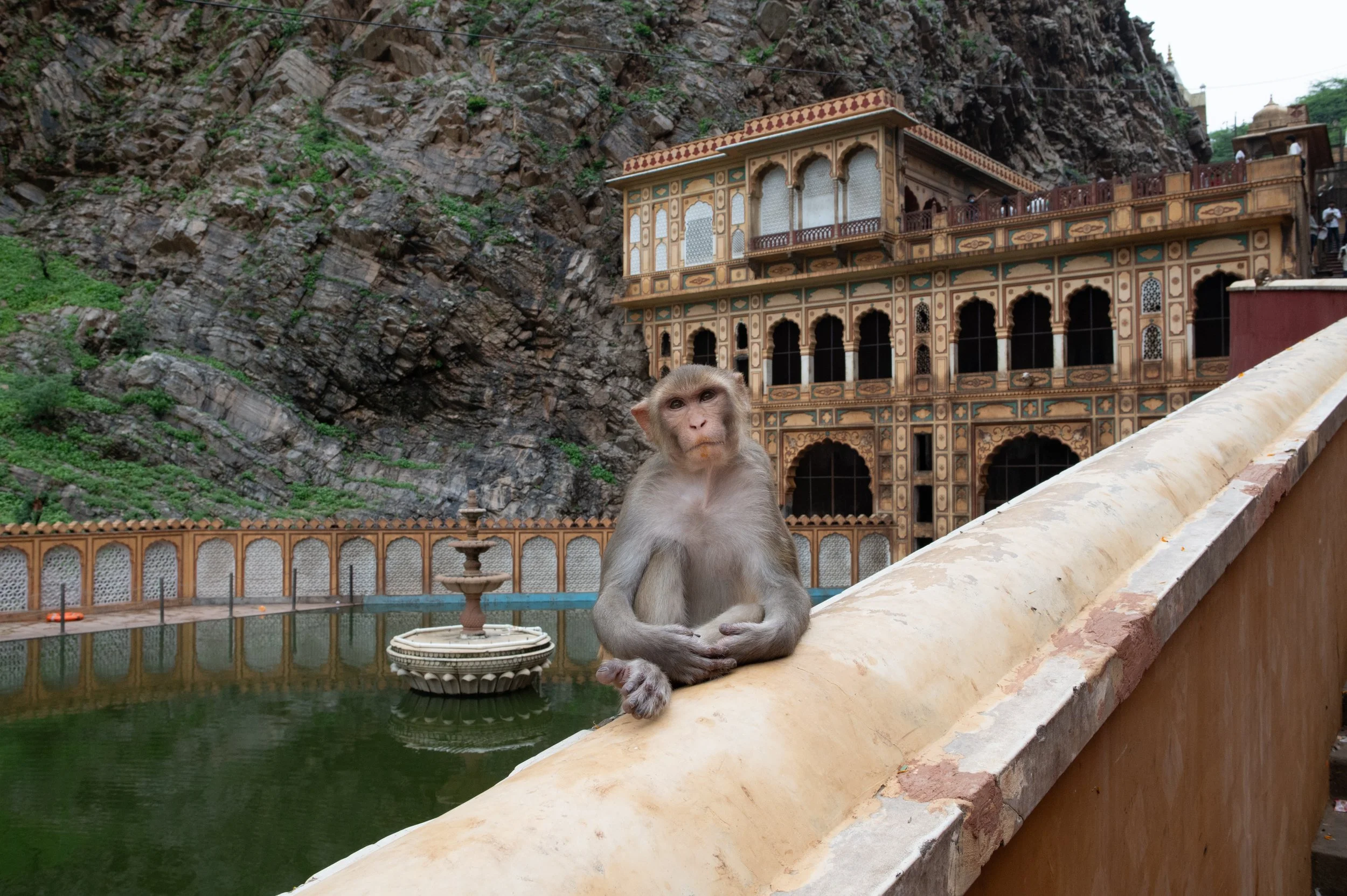 india-6.JPG