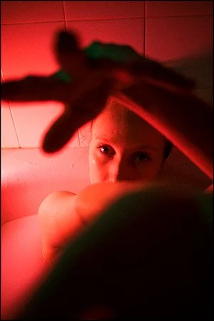 _1090168.jpg