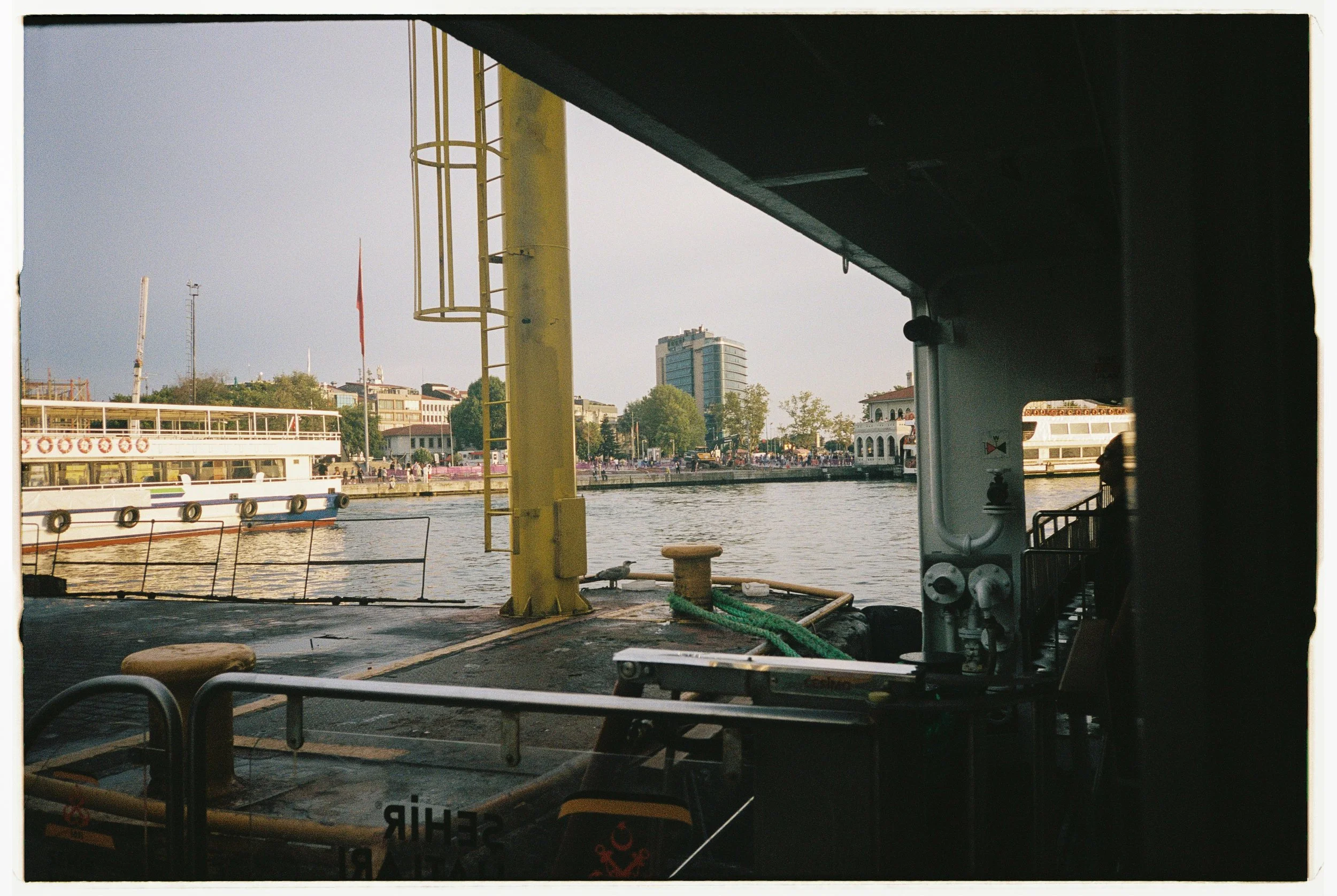 Axel Djangbo-12.jpg