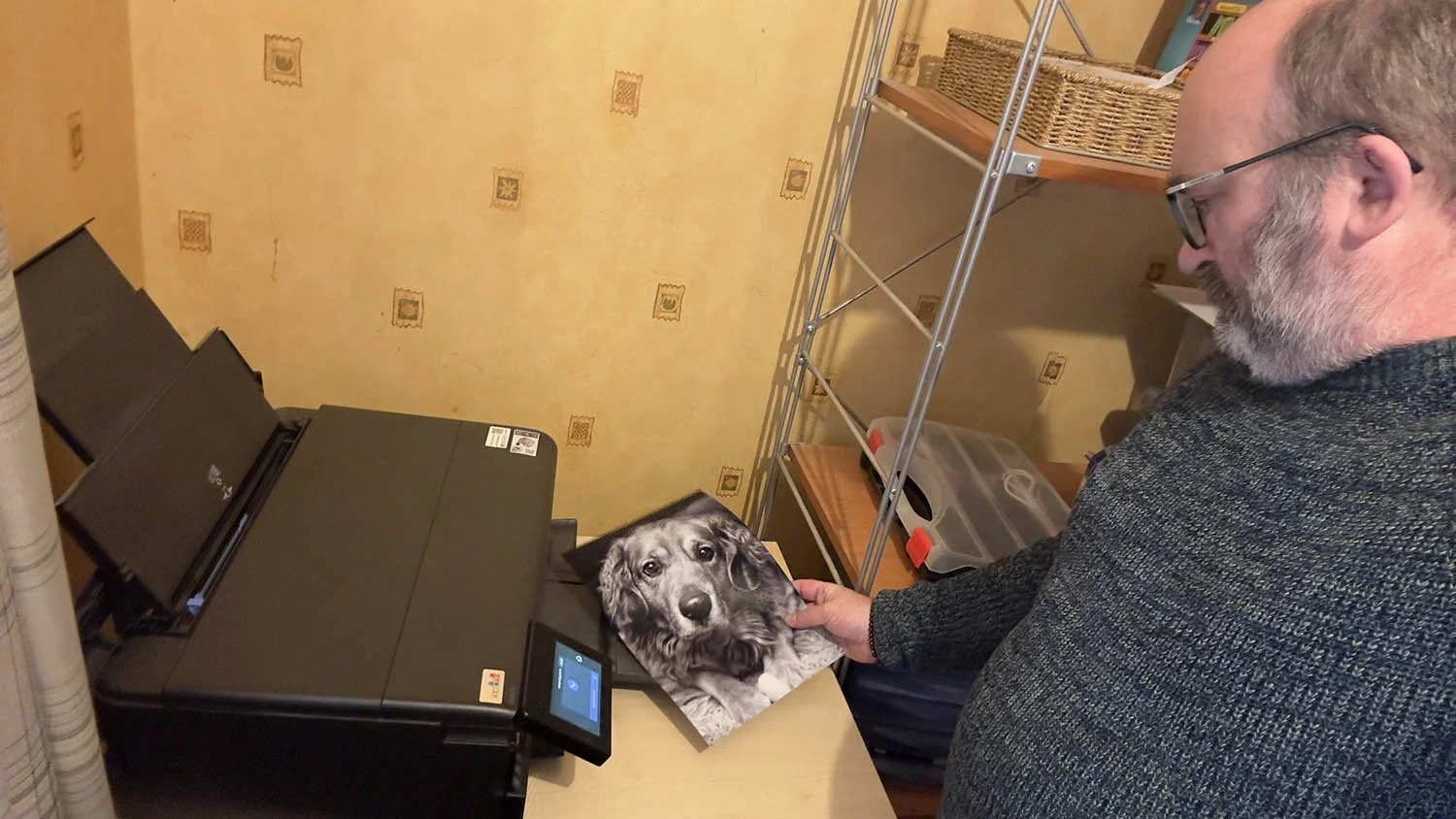 Myself checking the photo printing of a customer's pet in the Portadown office.