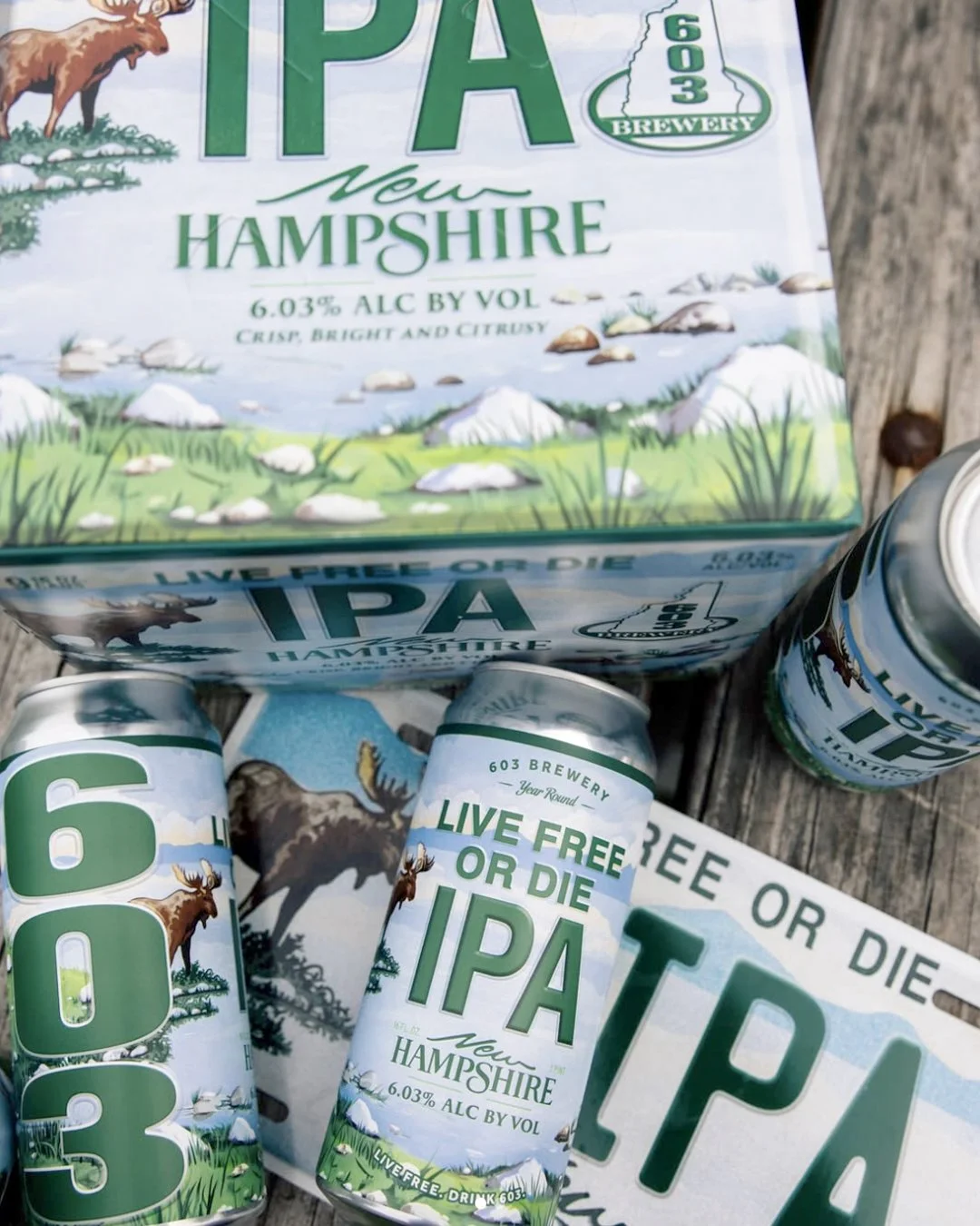 LFOD_IPA_2.jpg