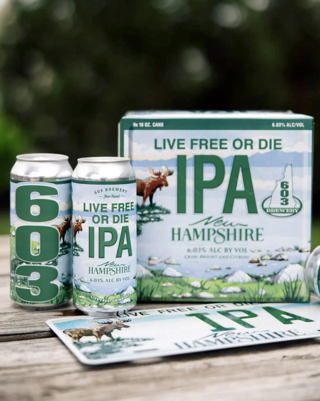 LFOD_IPA_1.jpg