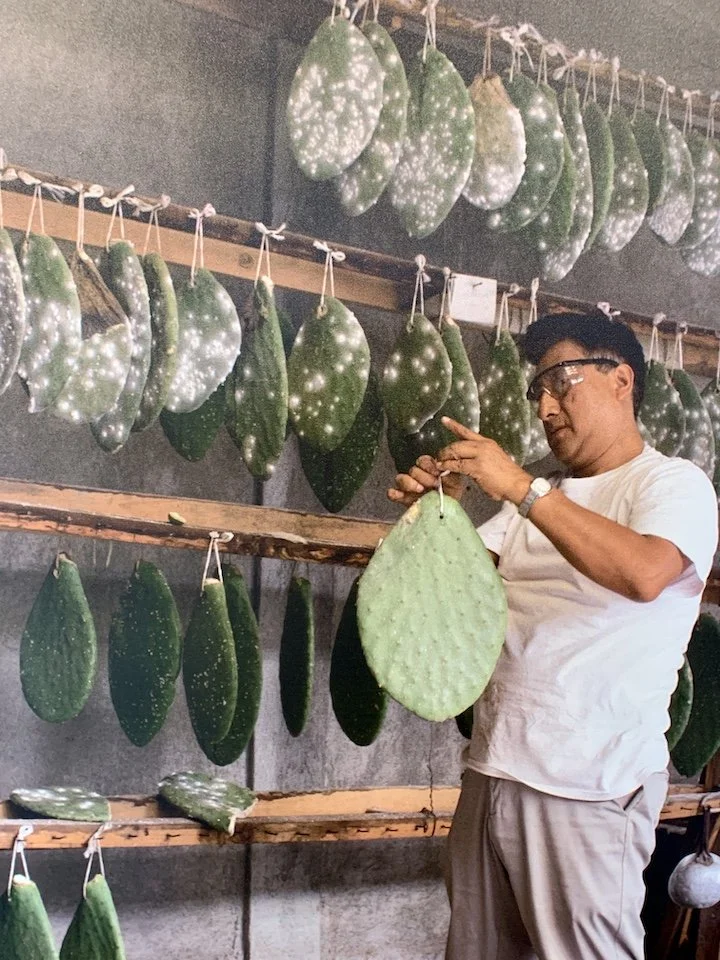 Intertwining WebsiteIMG_5512.JPG