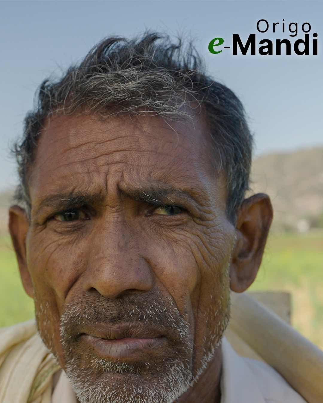 Transforming the business of agriculture and transforming lives - Origo eMandi.