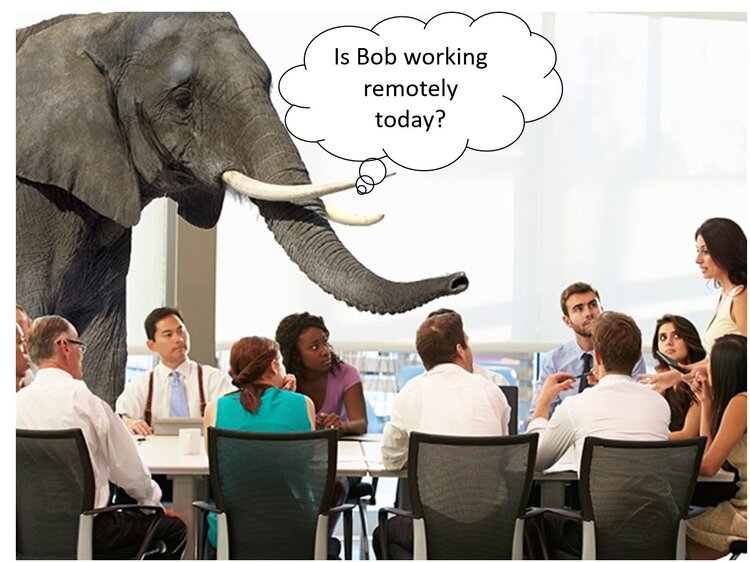 Elephant in the Office.jpg