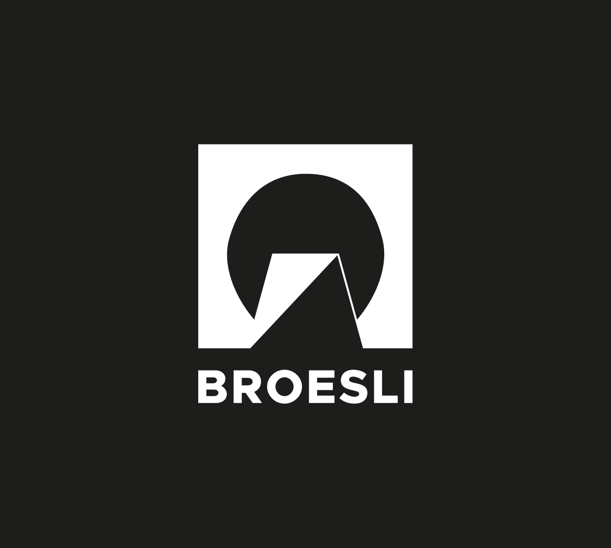 Broesli business leadership coaching logo ontwerp