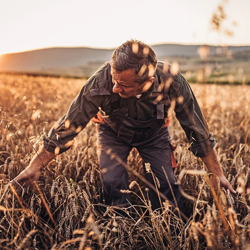 Branding bureau voor duurzame merken - Biologisch - Fairtrade