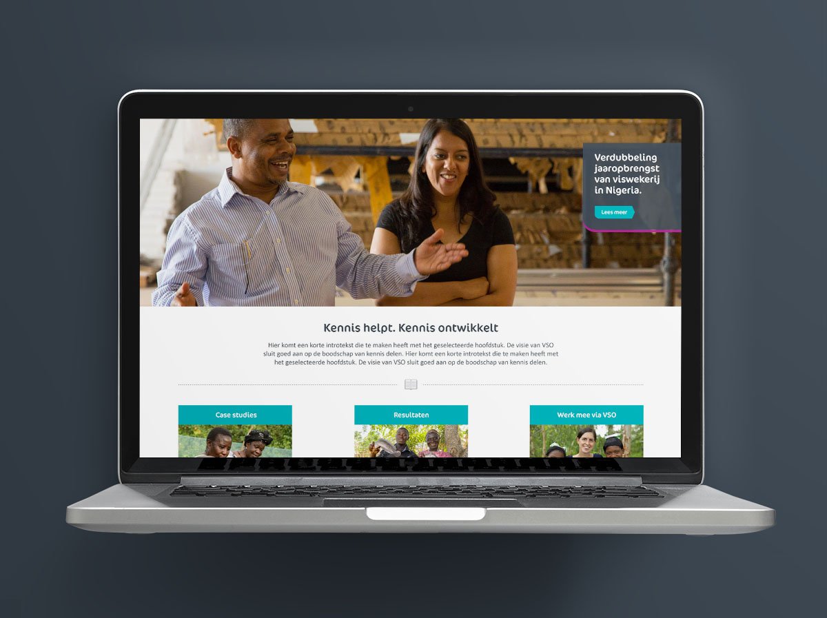 VSO webdesign website voor ngo desktop111.jpg