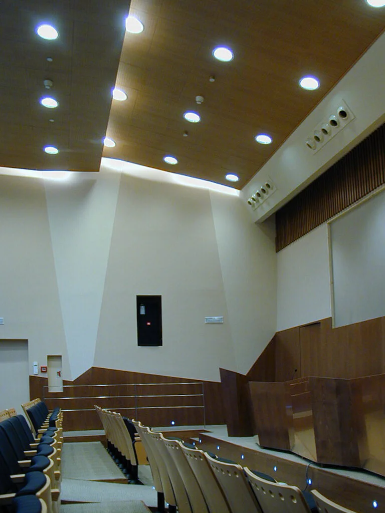 04-LAS ROZAS AUDITORIO_RETOCADA.jpg