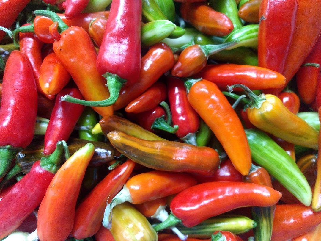 2019 Fish Peppers.jpg