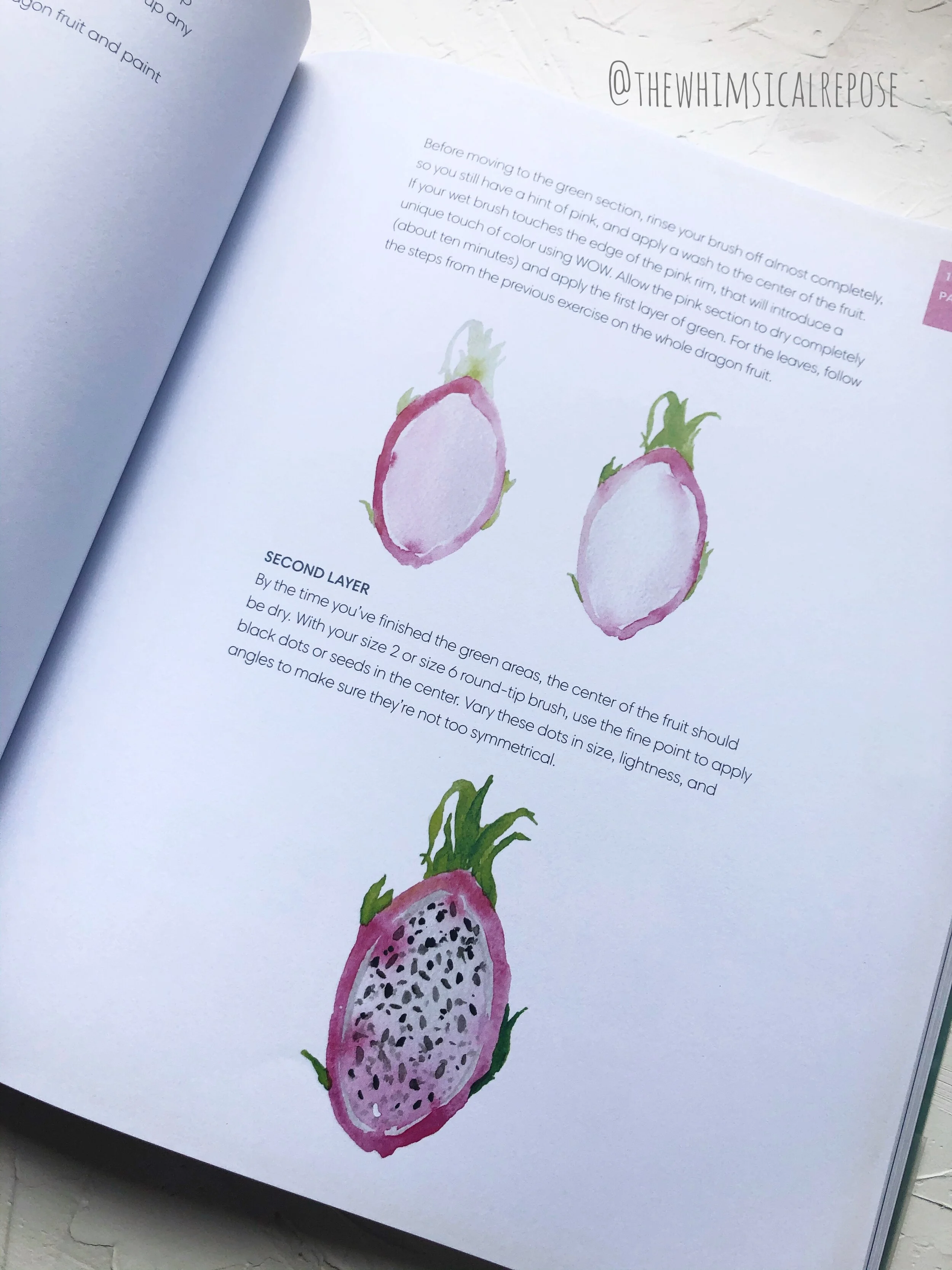 Eventually you graduate to more complex shapes and objects such as fruits and animals, and each step is clearly detailed so that you get maximum instructions on painting it, thus increasing your chances of success!