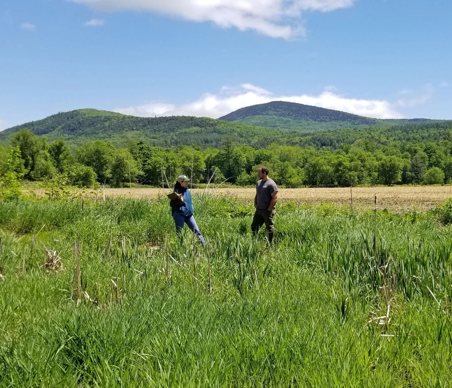 Mad River Valley dairy farm acquires land using new farmland protection