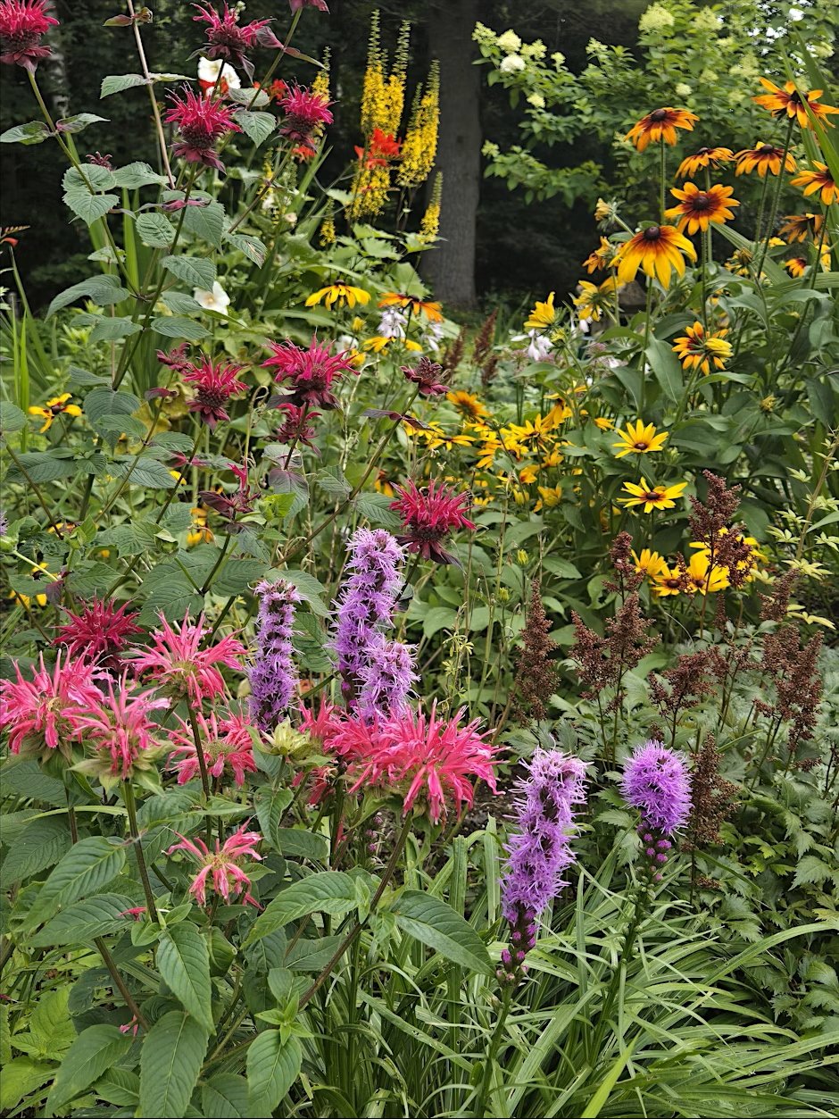 Garden club hosts Gardens of Waterbury tour on July 20