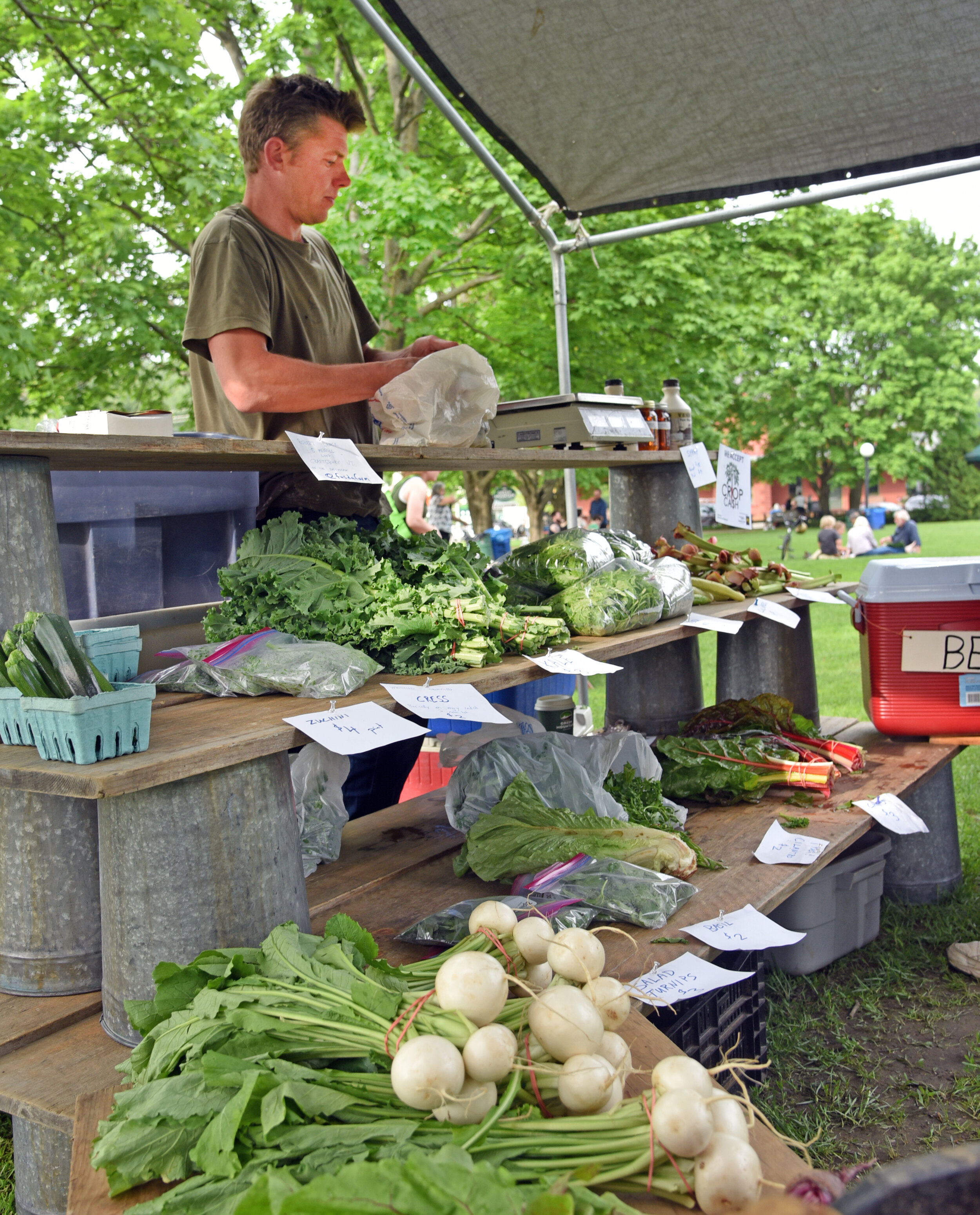 Community Updates | June 5