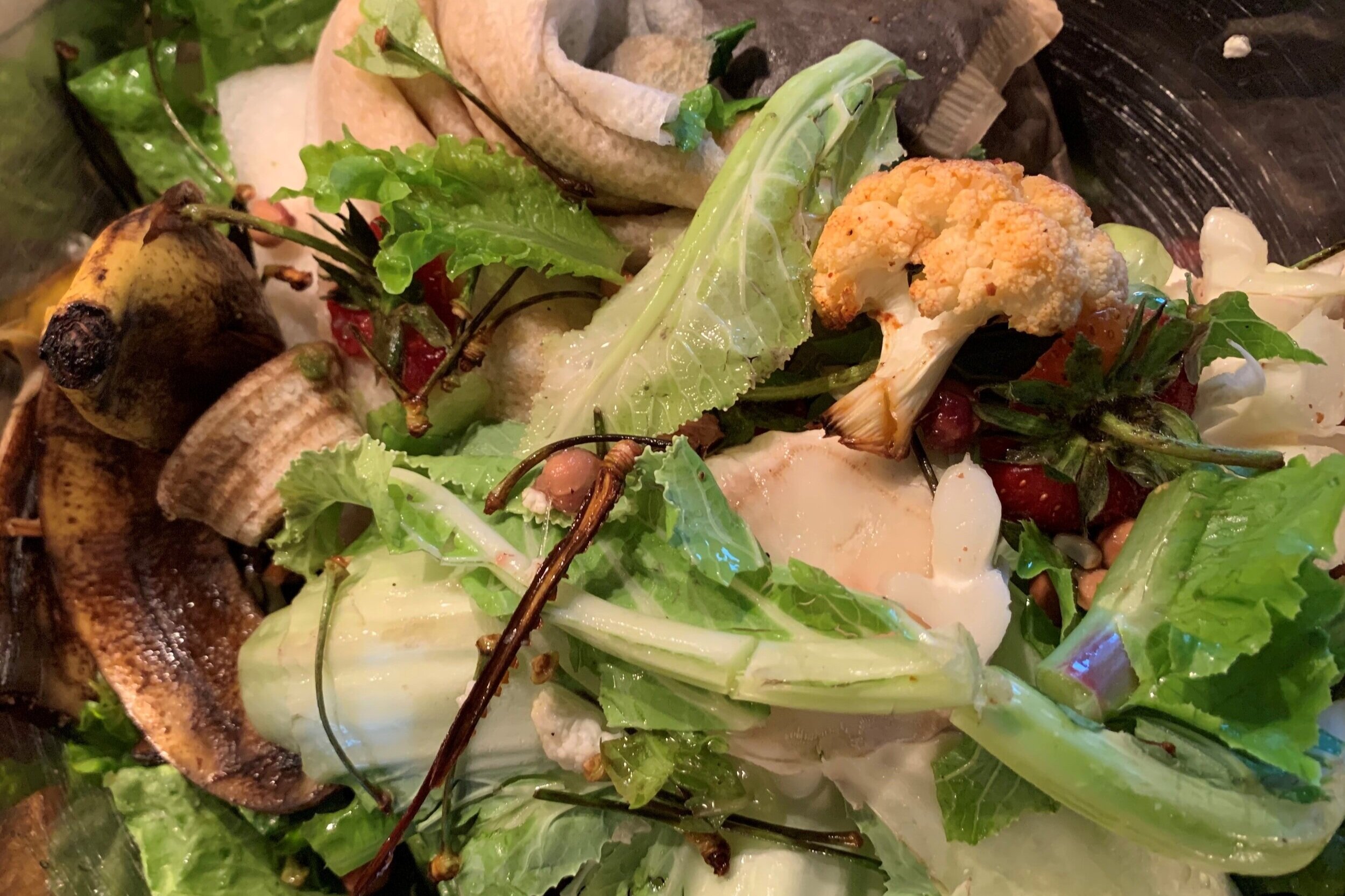 Plastic-bag ban, food-waste law require new routines at the checkout, in the kitchen