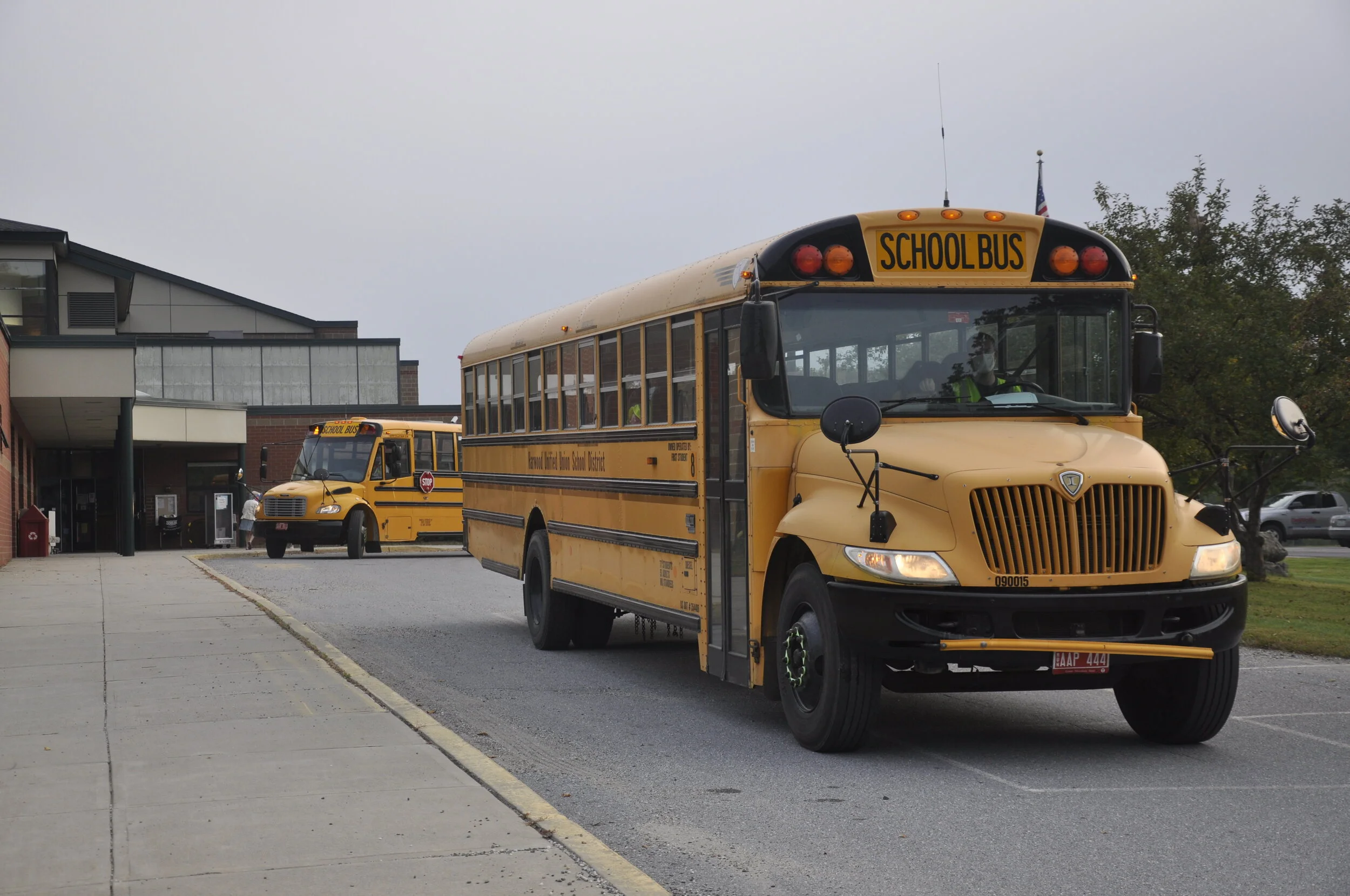   Photo by Lisa Scagliotti.  