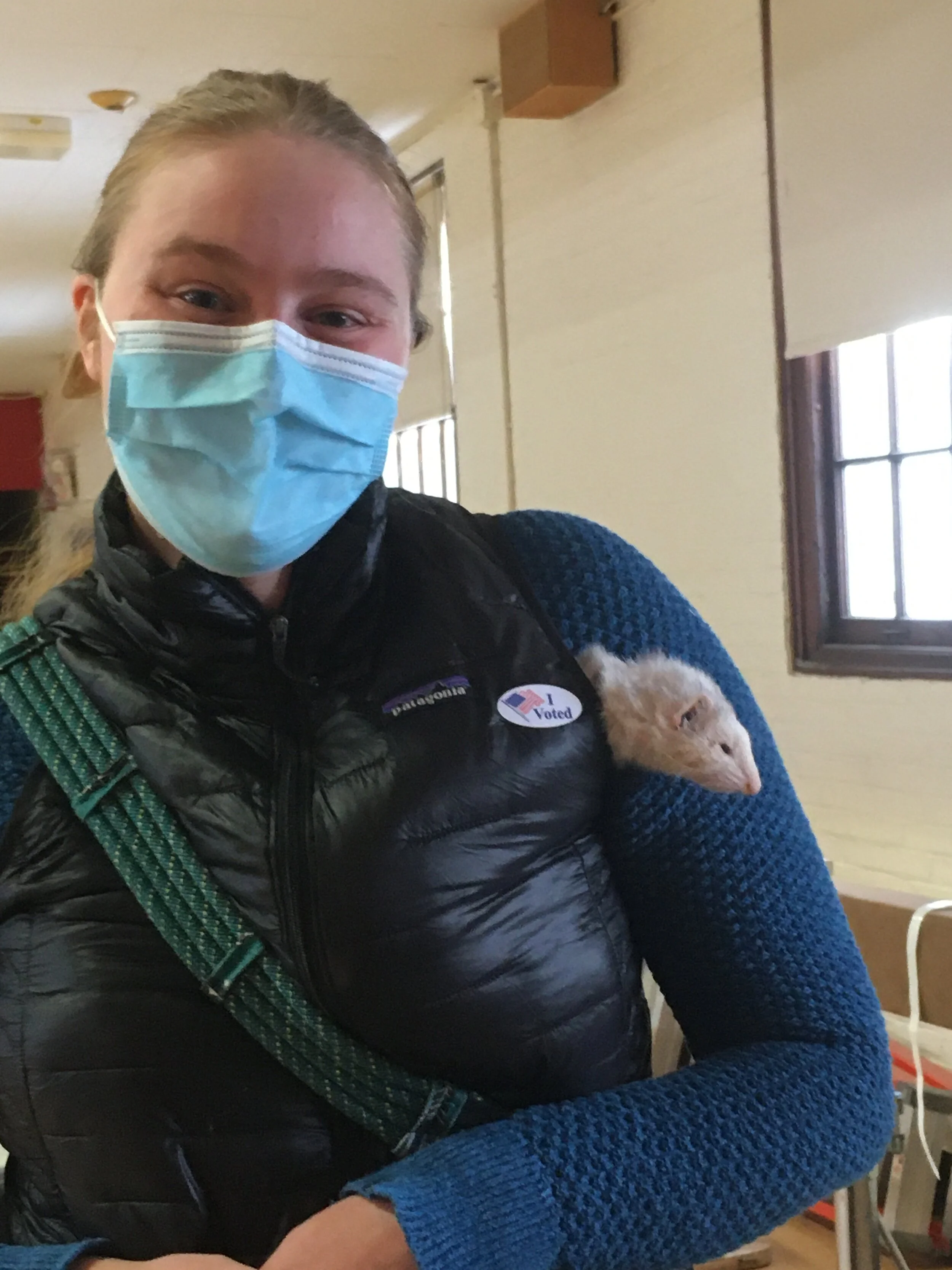  A tiny Election Day companion tagged along at the polls in Waterbury. Photo by Liz Schlegel. 
